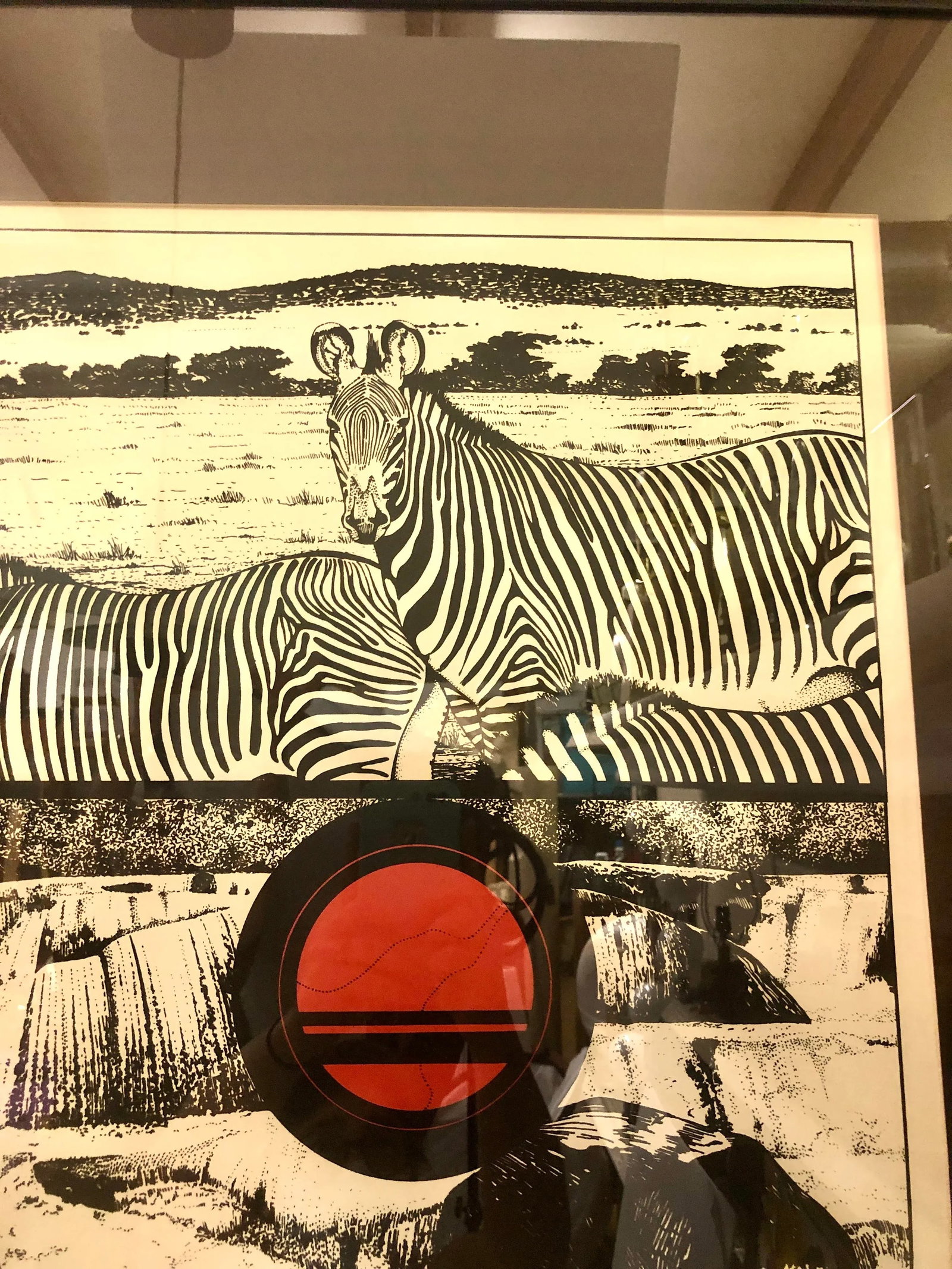 "Zebra, Circle, Water" Vintage 1970s Framed Print - 7