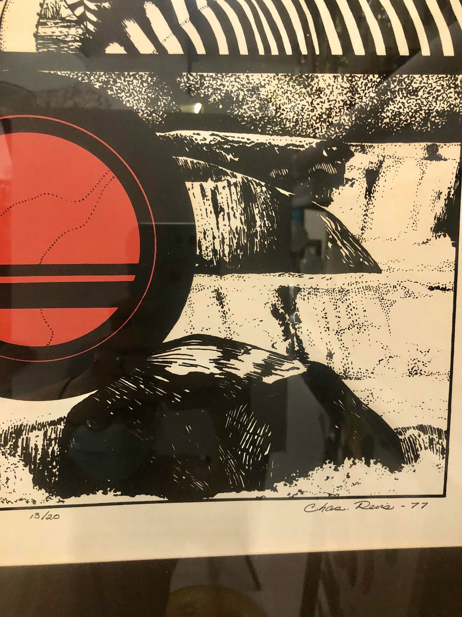 "Zebra, Circle, Water" Vintage 1970s Framed Print - 8