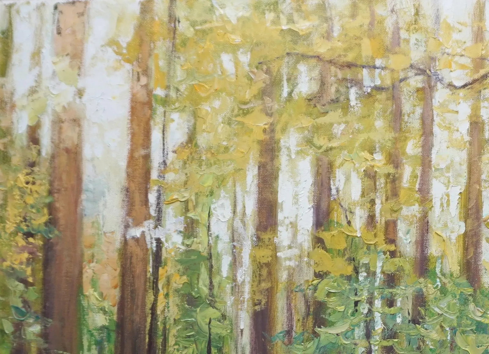 Sean Wu Original Oil Landscape of Cedar Grove - 2