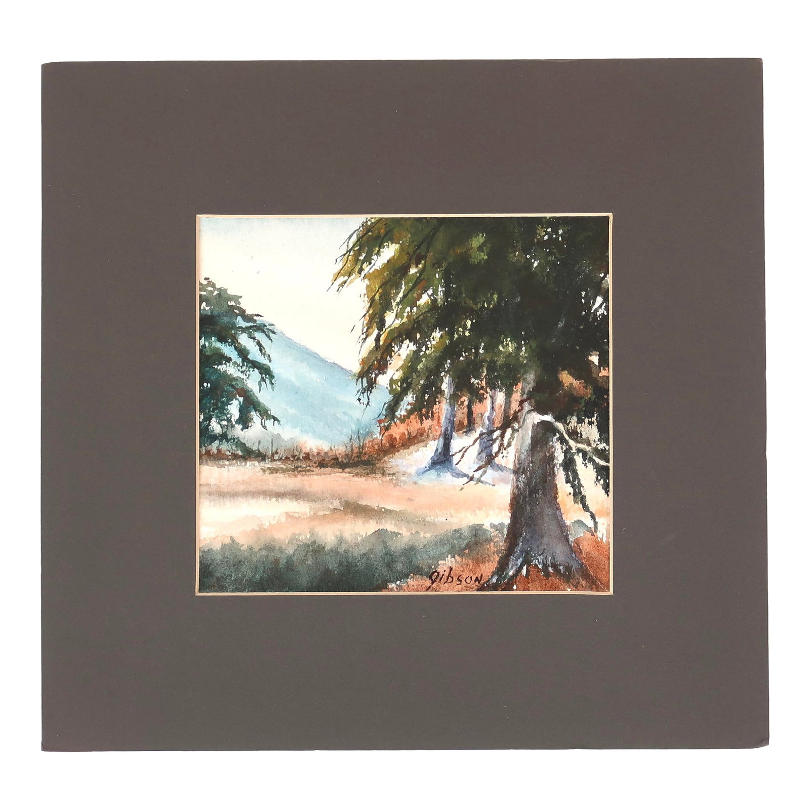 Mid 20th Century Original Matted Signed Watercolor Landscape Painting of Forest Edge With Pine Trees: This original watercolor painting on paper presents a compact landscape scene composed of layered washes and controlled brushwork. The artist, signed as Gibson, constructs the composition with a foreg