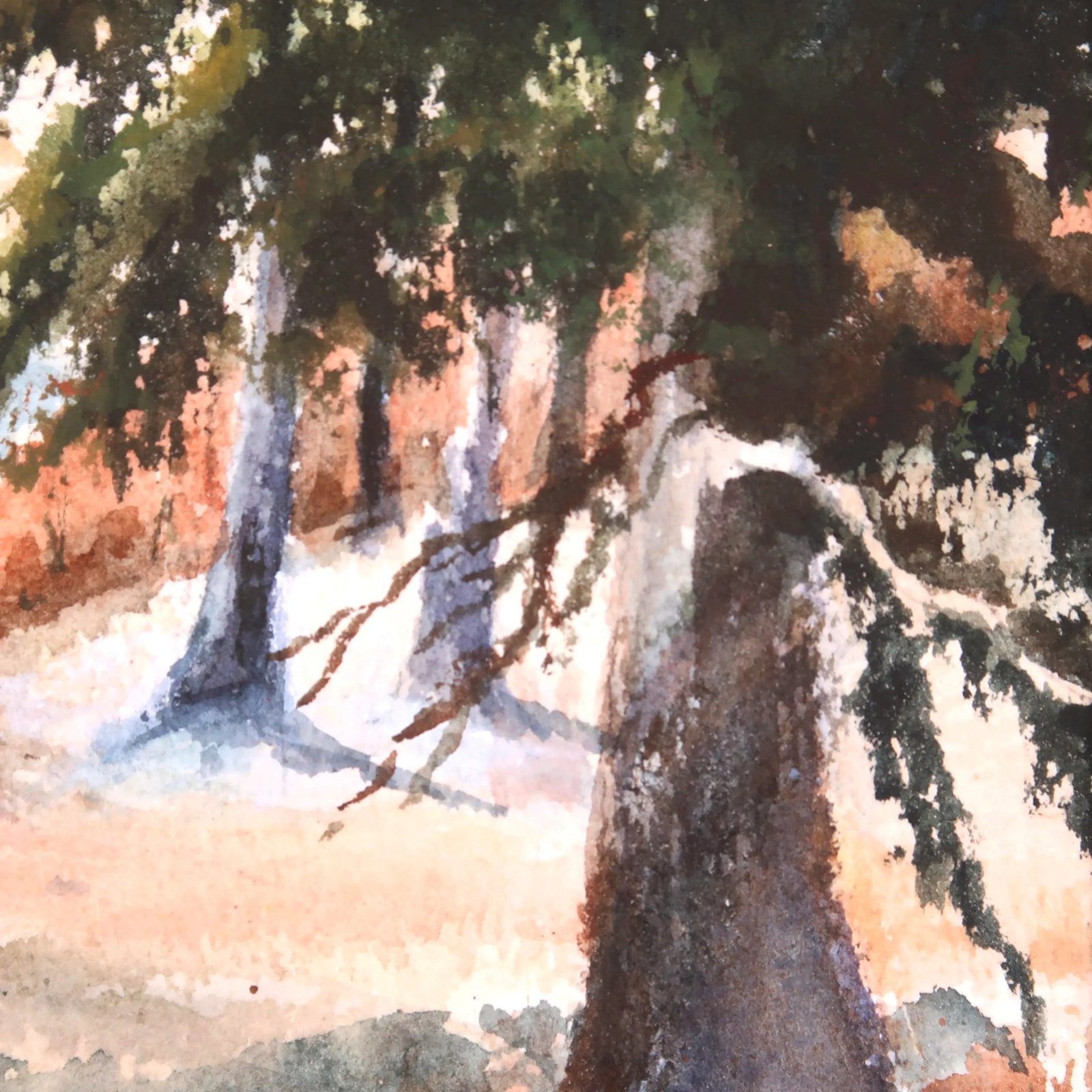 Mid 20th Century Original Matted Signed Watercolor Landscape Painting of Forest Edge With Pine Trees - 8