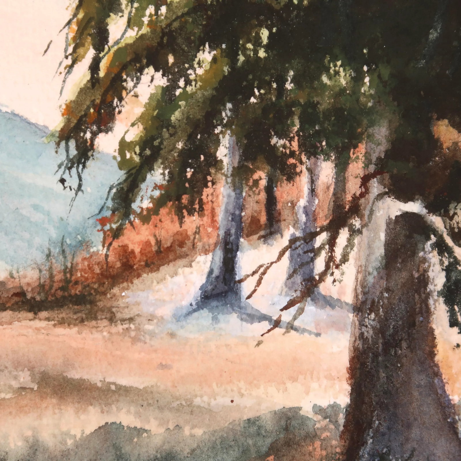Mid 20th Century Original Matted Signed Watercolor Landscape Painting of Forest Edge With Pine Trees - 9