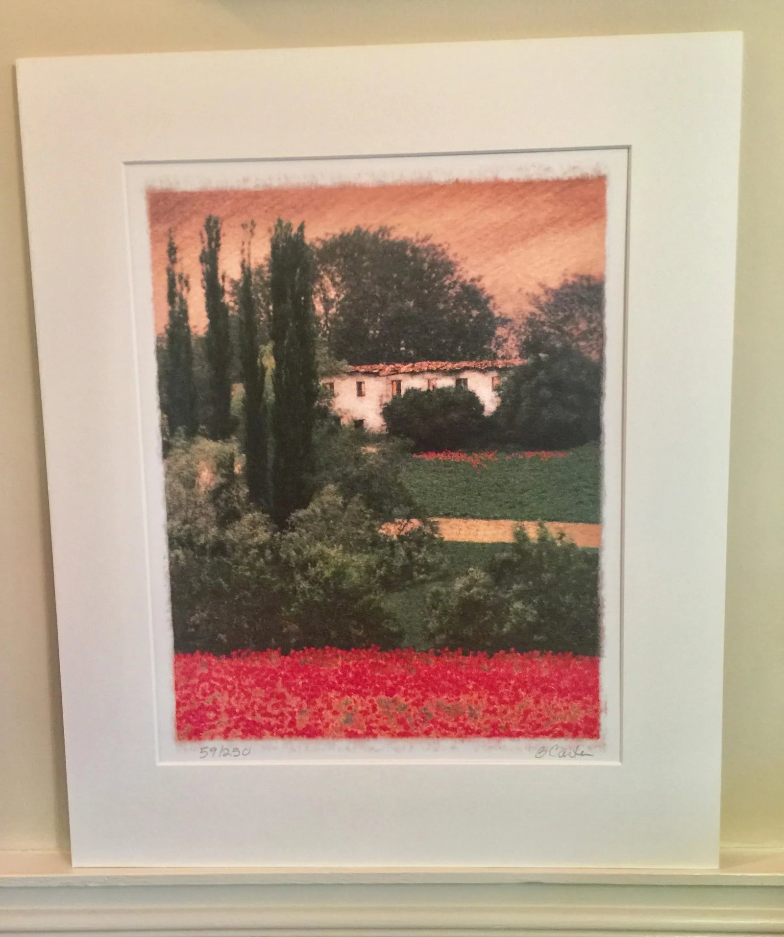 Tuscan Poppy Field and Cypress Trees Print Signed by Barbara Carter - 12