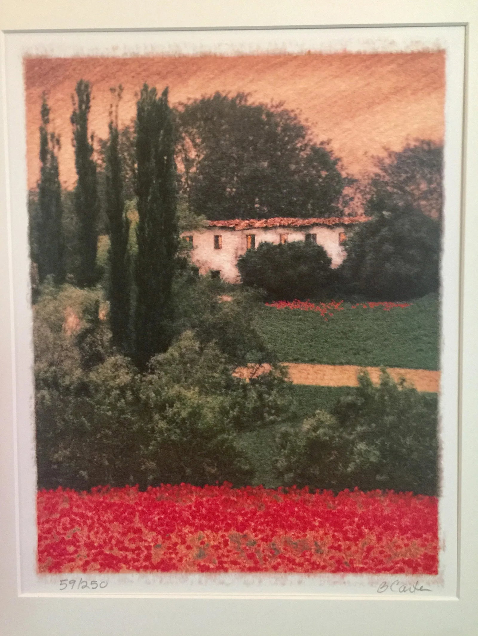 Tuscan Poppy Field and Cypress Trees Print Signed by Barbara Carter - 3
