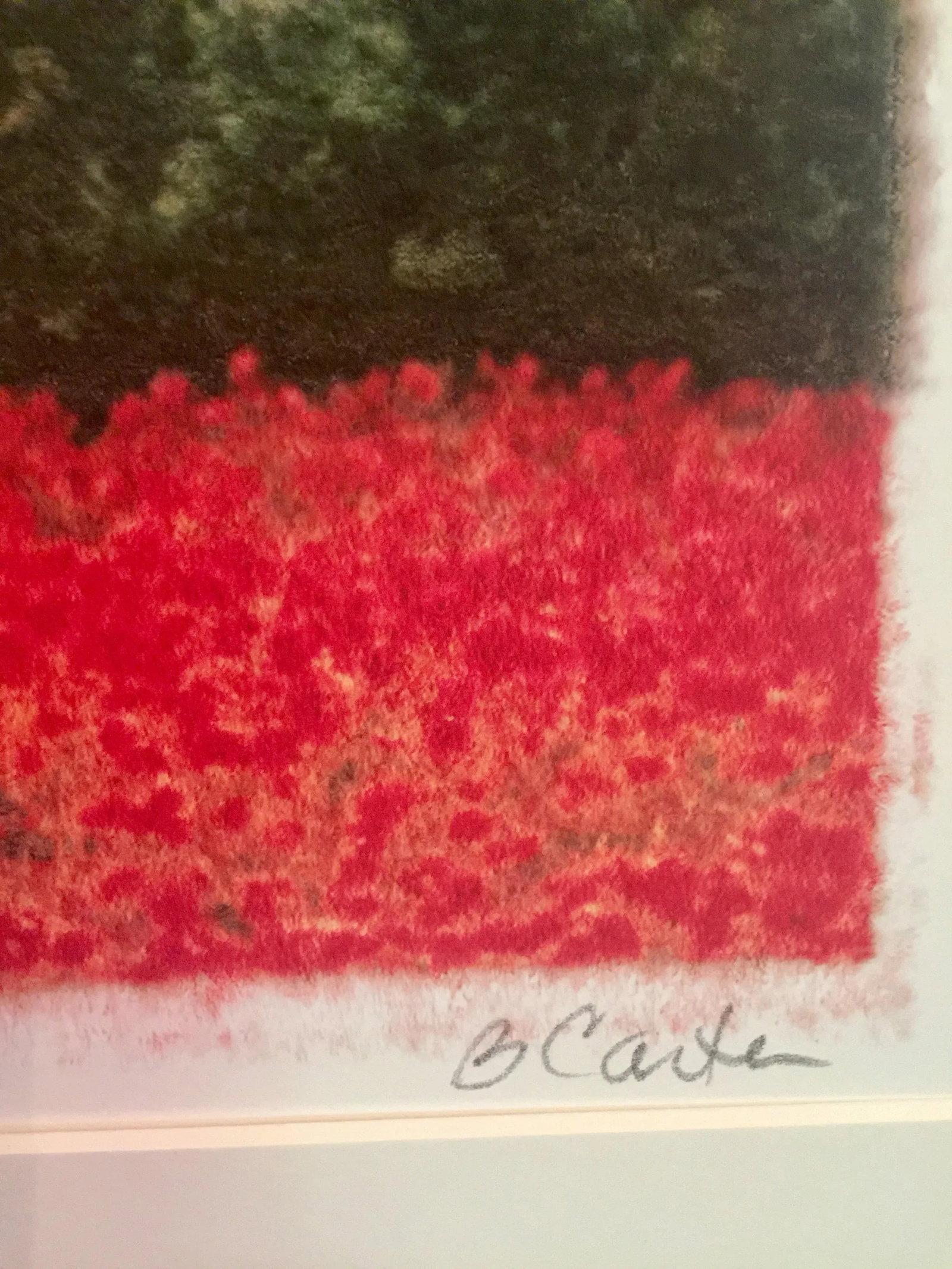 Tuscan Poppy Field and Cypress Trees Print Signed by Barbara Carter - 4