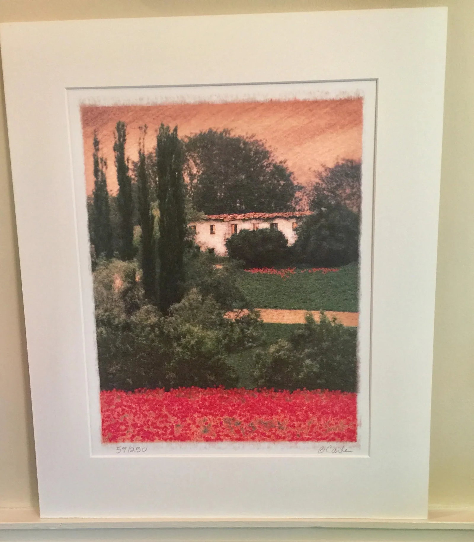 Tuscan Poppy Field and Cypress Trees Print Signed by Barbara Carter - 7