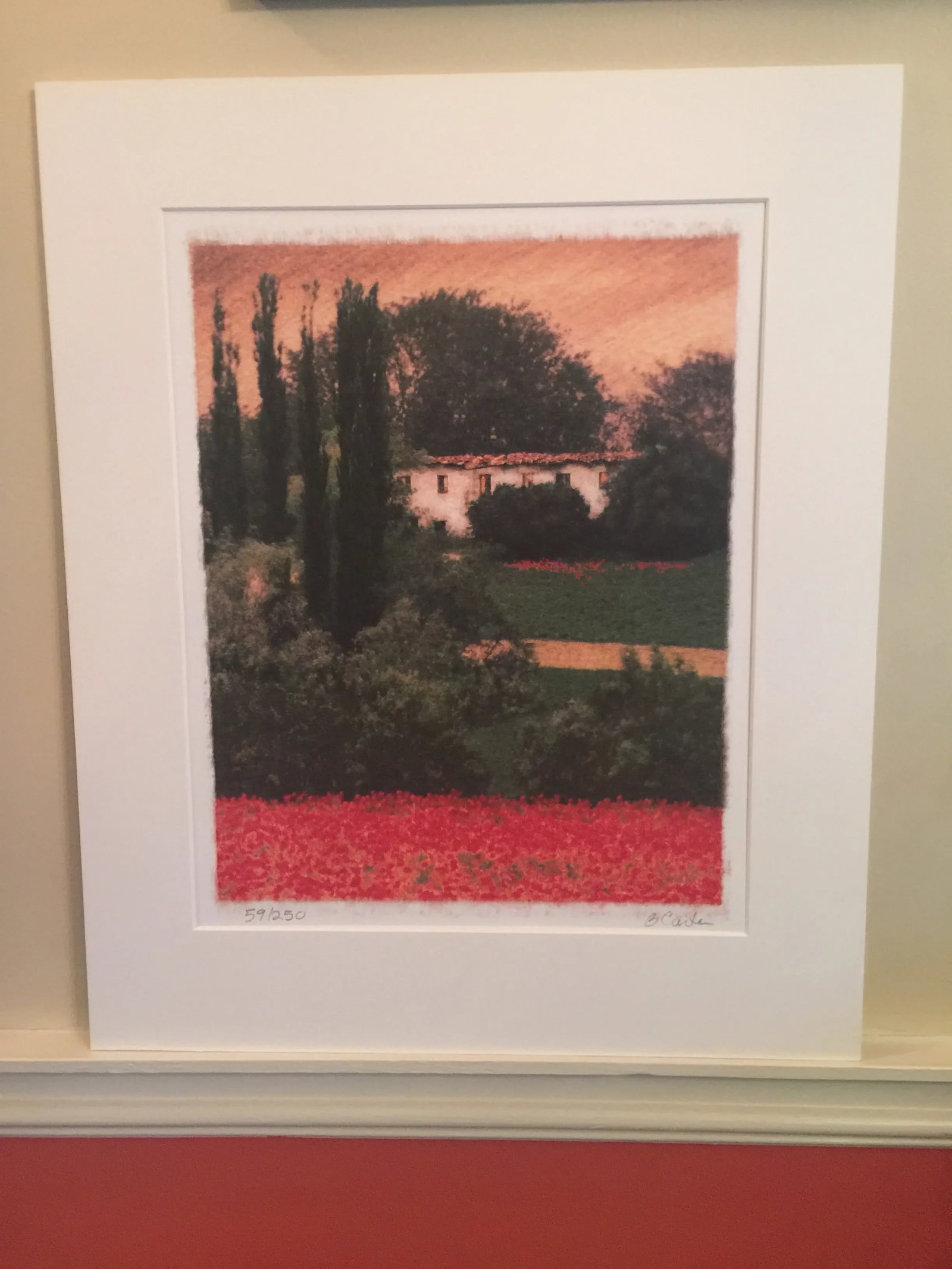 Tuscan Poppy Field and Cypress Trees Print Signed by Barbara Carter - 8