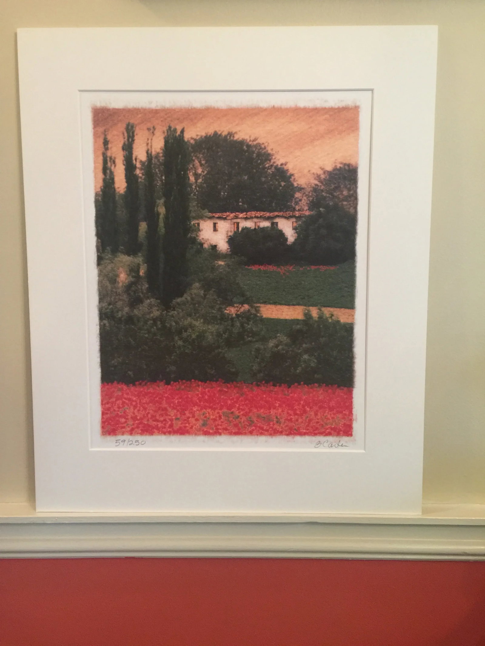 Tuscan Poppy Field and Cypress Trees Print Signed by Barbara Carter - 9
