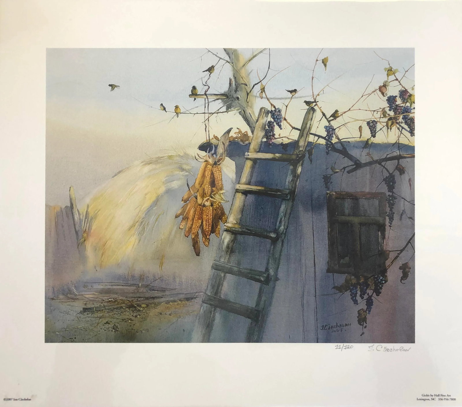 "Harvest, Purple Grapes" Giclee Print Hand Signed: Giclee print on watercolor paper of an original water color painting. The piece is mounted on foam core. Hand singed and numbered by the artist, high quality print and original image. This is an