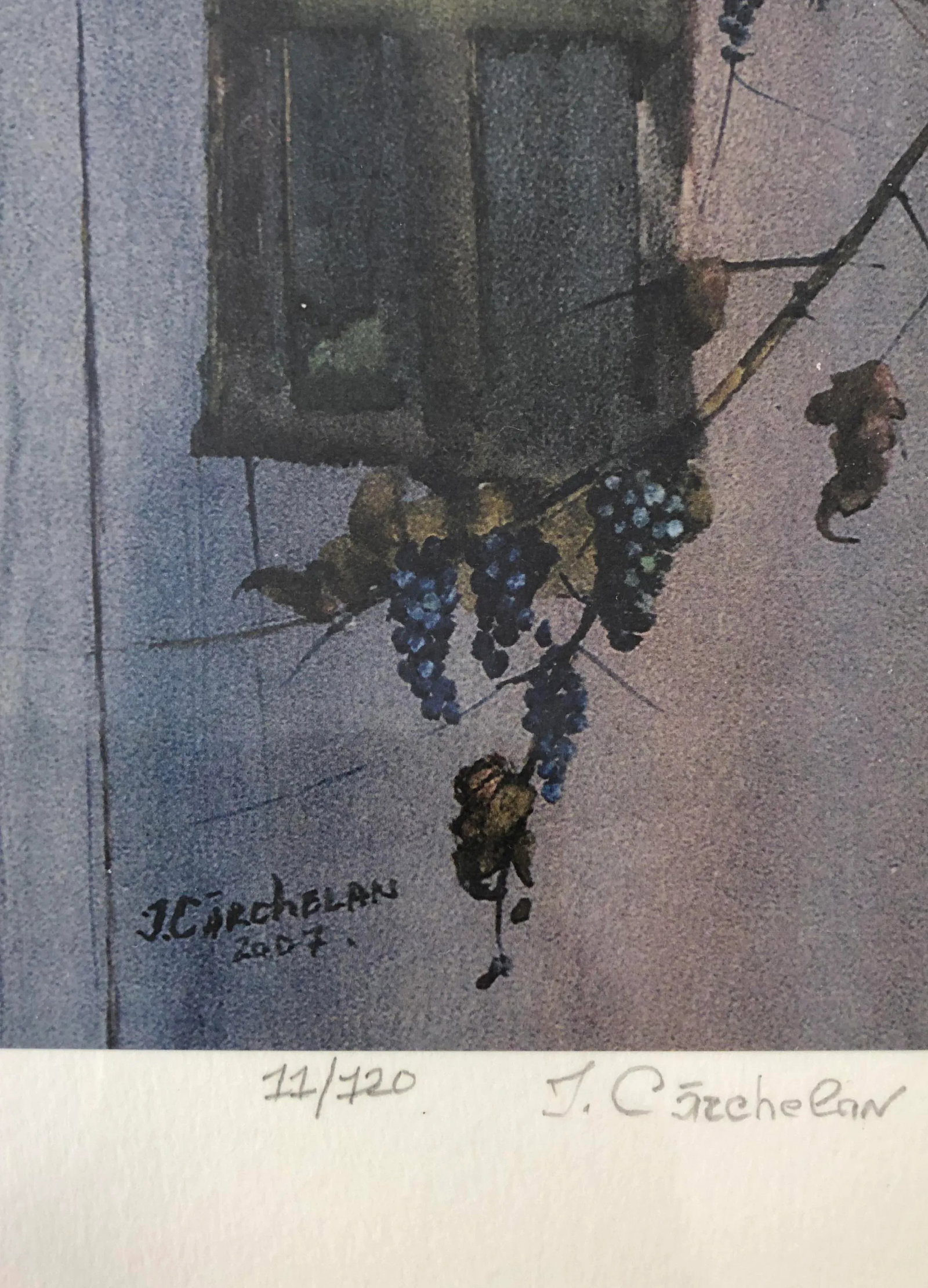 "Harvest, Purple Grapes" Giclee Print Hand Signed - 2