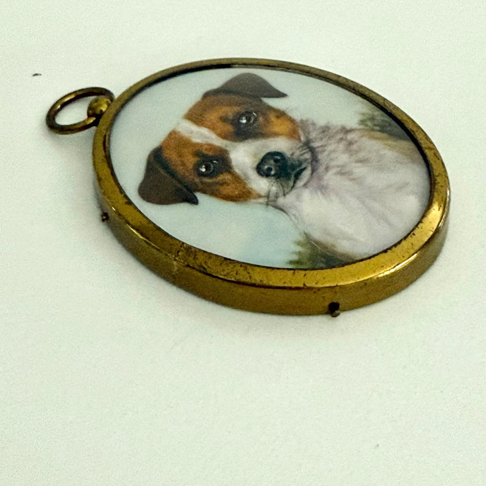 Antique Portrait Miniature of a Jack Russell Terrier - 2