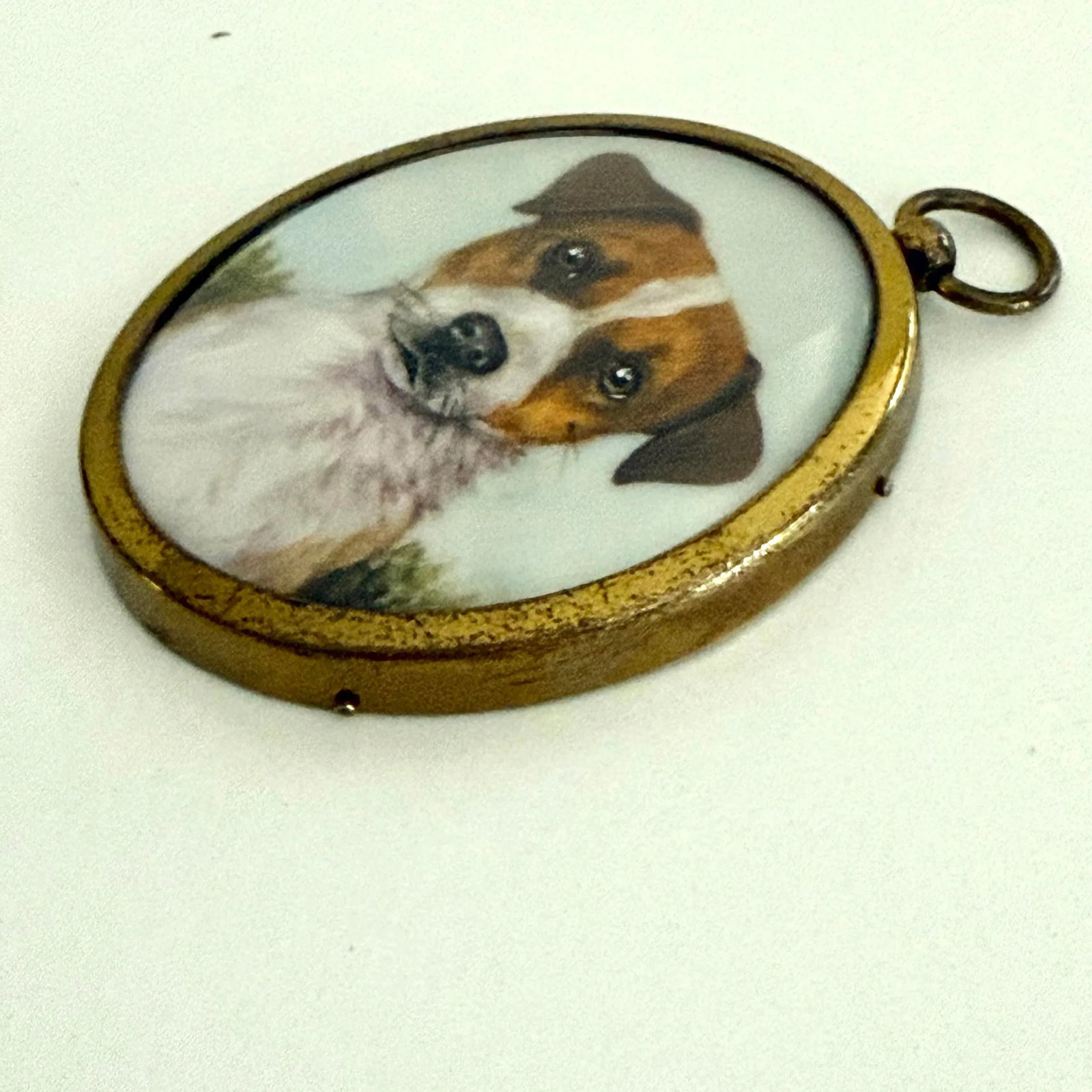 Antique Portrait Miniature of a Jack Russell Terrier - 3