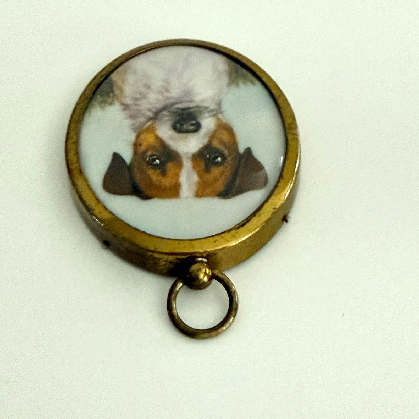 Antique Portrait Miniature of a Jack Russell Terrier - 4