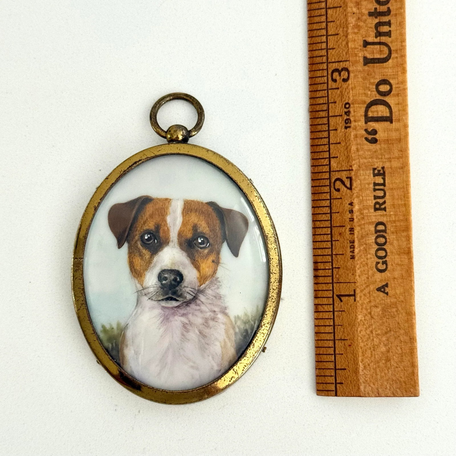 Antique Portrait Miniature of a Jack Russell Terrier - 6