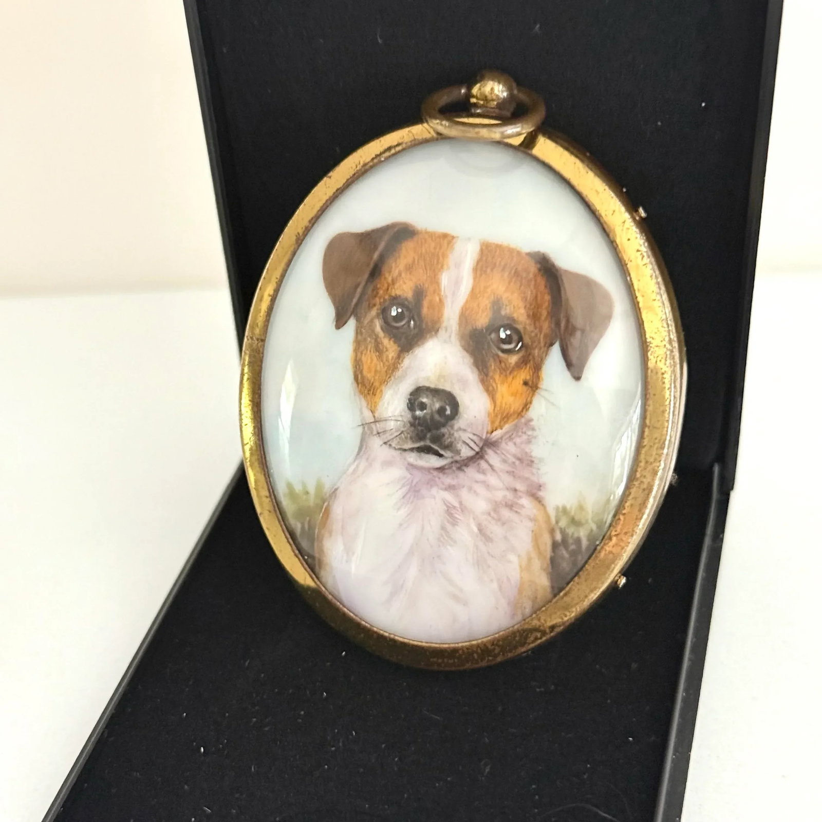 Antique Portrait Miniature of a Jack Russell Terrier - 9