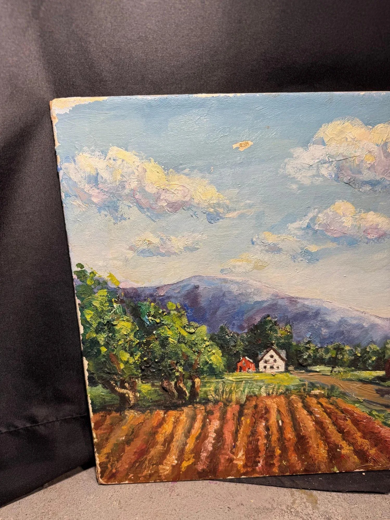Late 20th Century Ruth Wierenga Signed Countryside Landscape - Original Oil Painting, 18'' * 14'' - 2