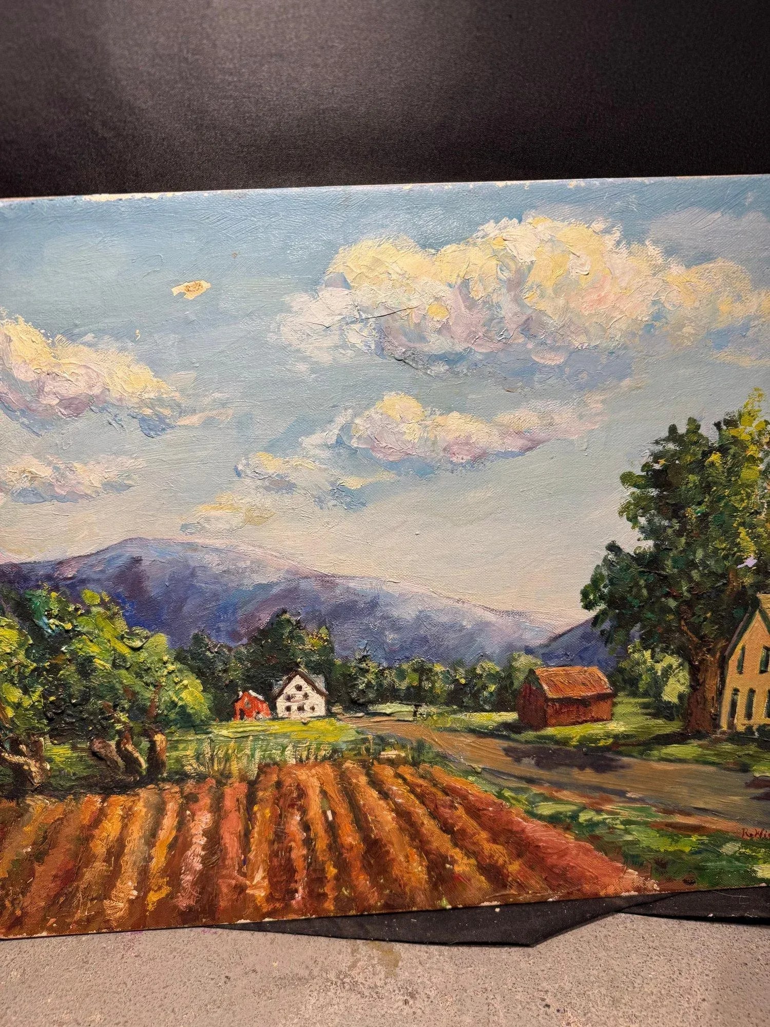 Late 20th Century Ruth Wierenga Signed Countryside Landscape - Original Oil Painting, 18'' * 14'' - 3