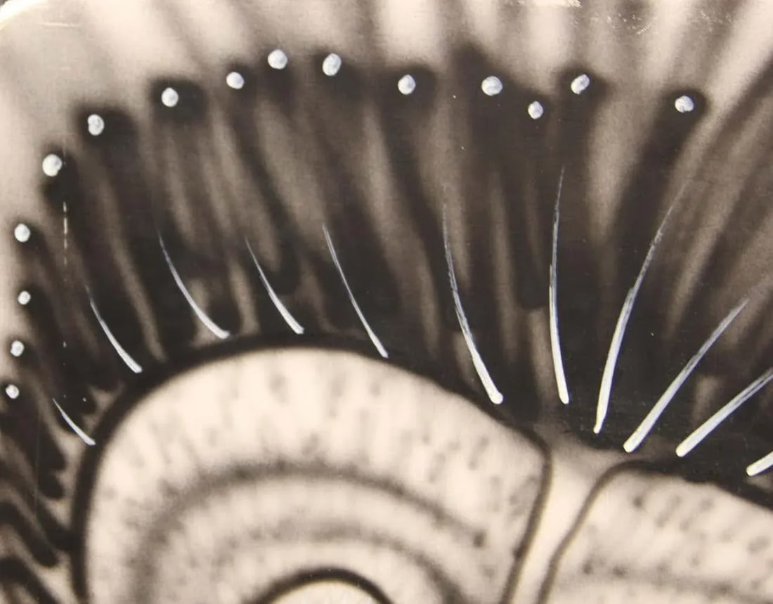 2000s "Absolut Keck" Abstract Surrealist Black and White Airbrush Painting by Howie Keck - 4