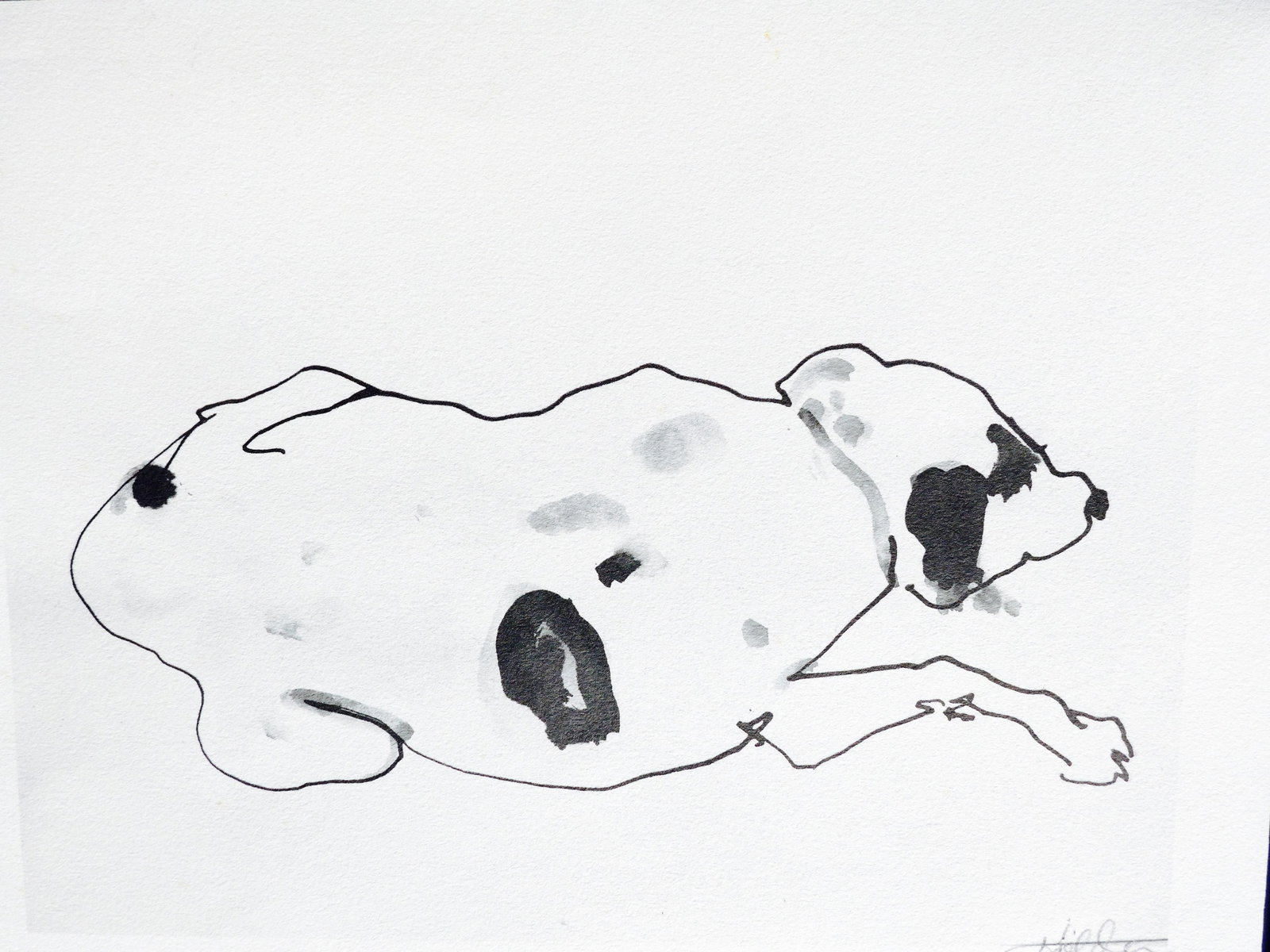 Sleeping Terrier - 4