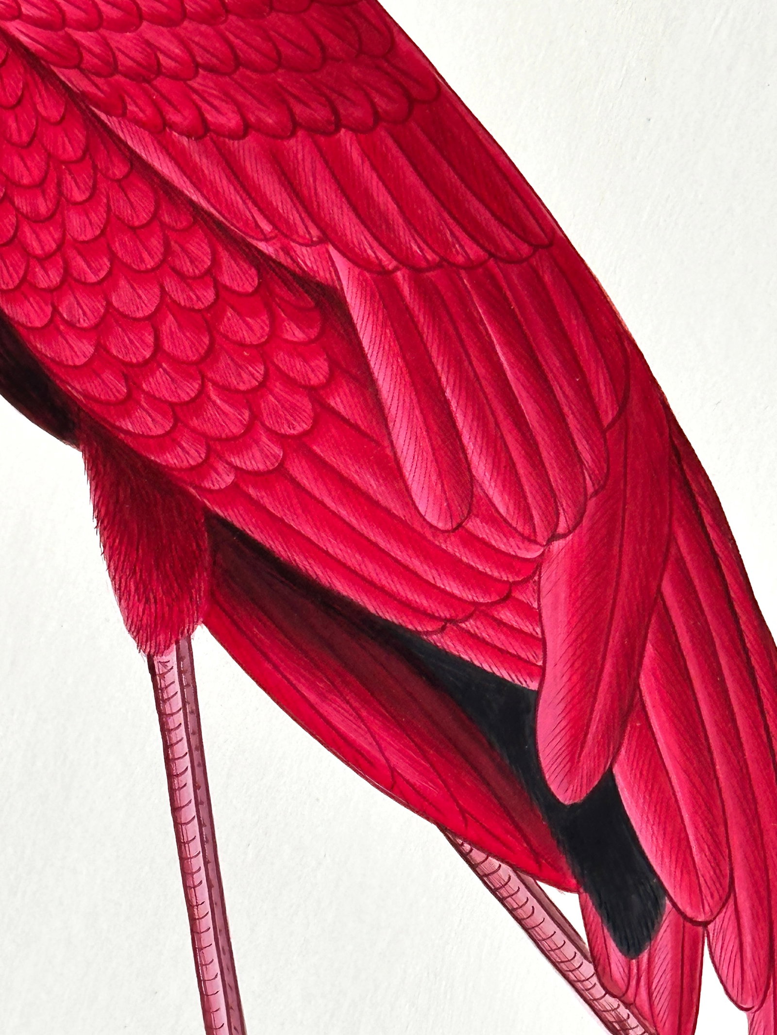 Large Original Hand-Painted Flamingo Painting, Framed - 4