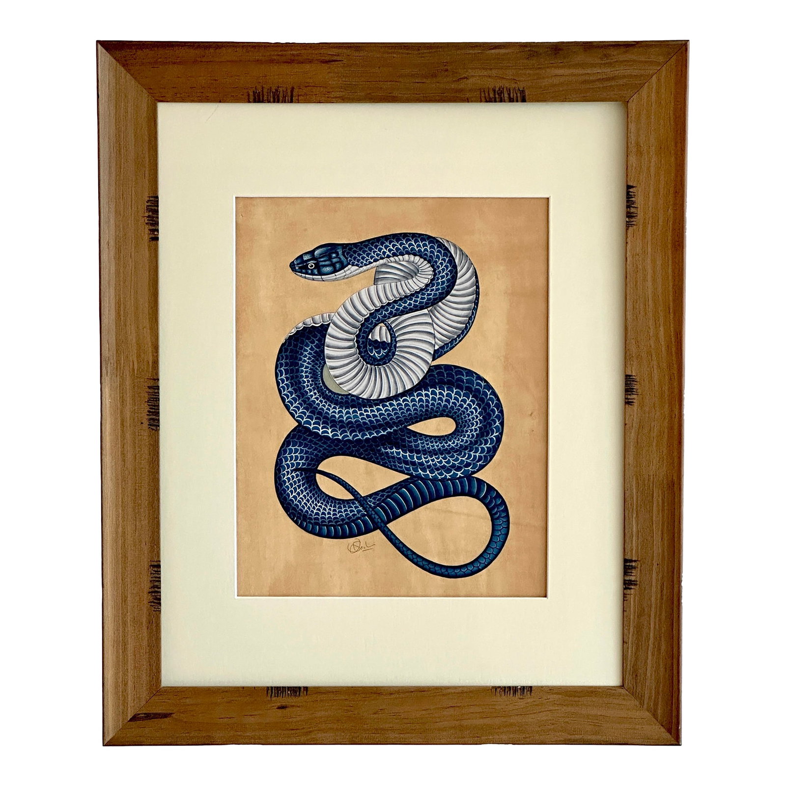 Original Hand-Painted Snake Painting in a Pine Wood Frame: Hand-painted by one of our most senior artists, this exquisitely detailed snake painting is a true work of fine art. Every scale is meticulously rendered, bringing depth, movement, and a striking