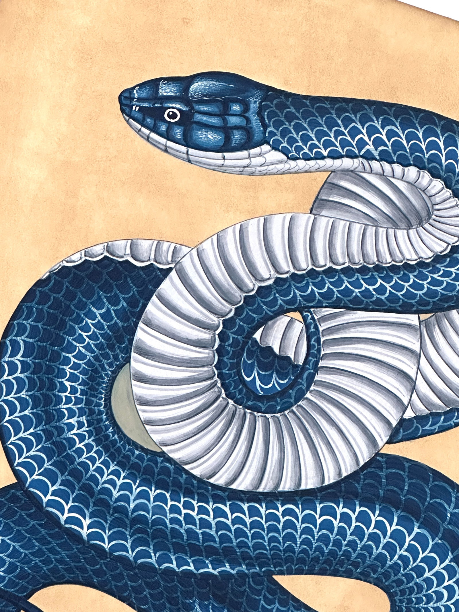 Original Hand-Painted Snake Painting in a Pine Wood Frame - 4