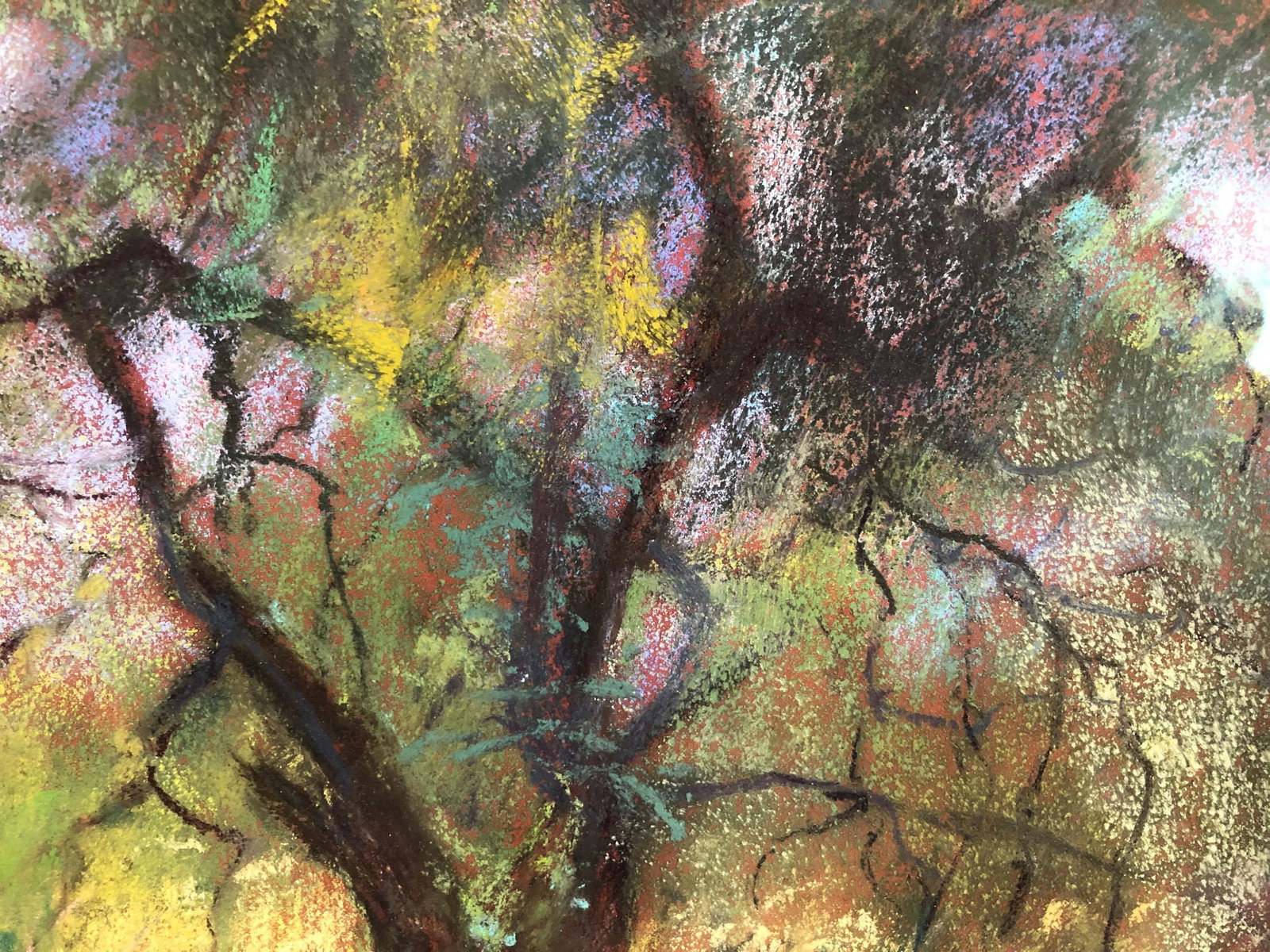 Contemporary Landscape Pastel Drawing - Enid Wood - 4
