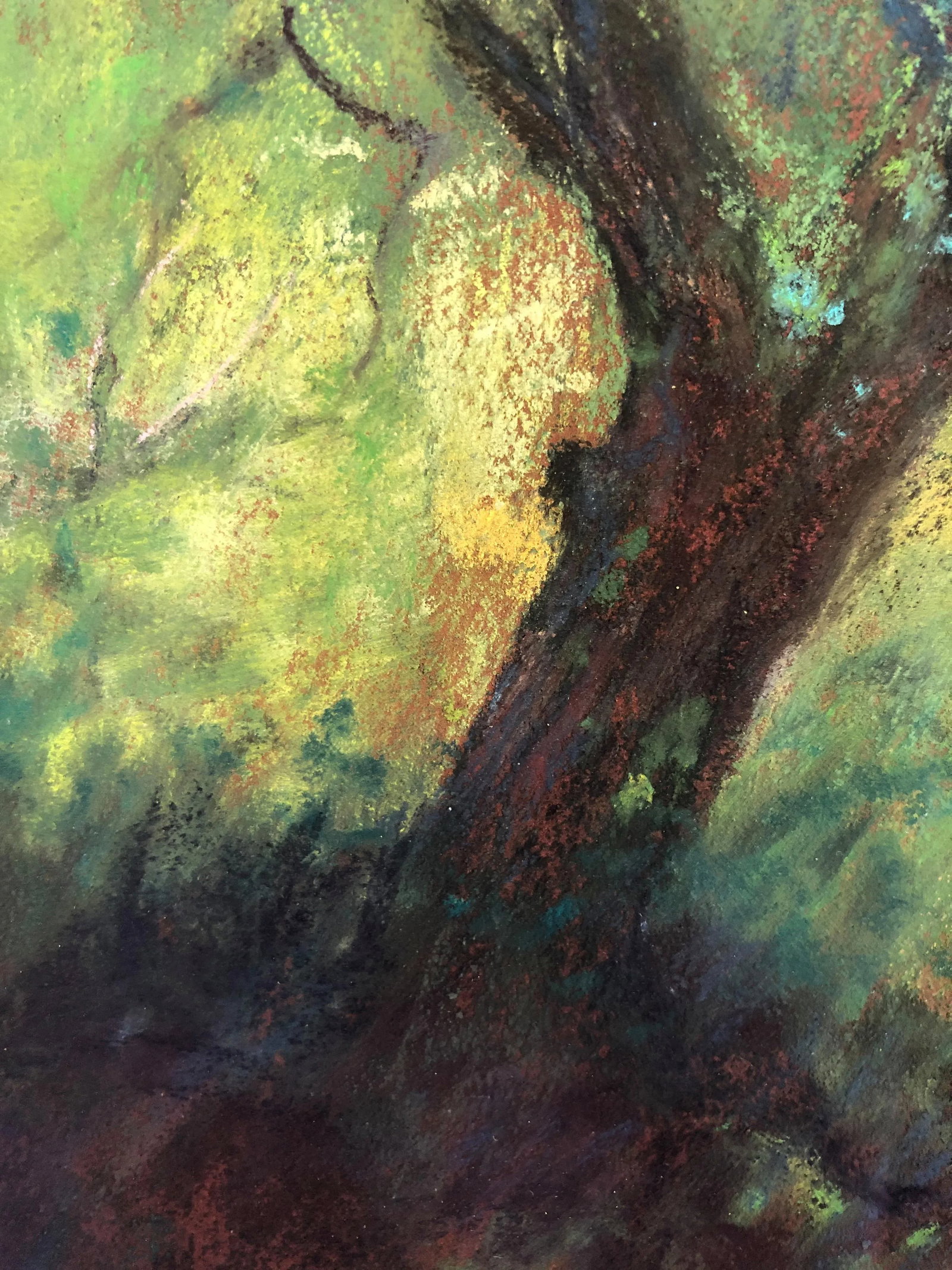 Contemporary Landscape Pastel Drawing - Enid Wood - 5