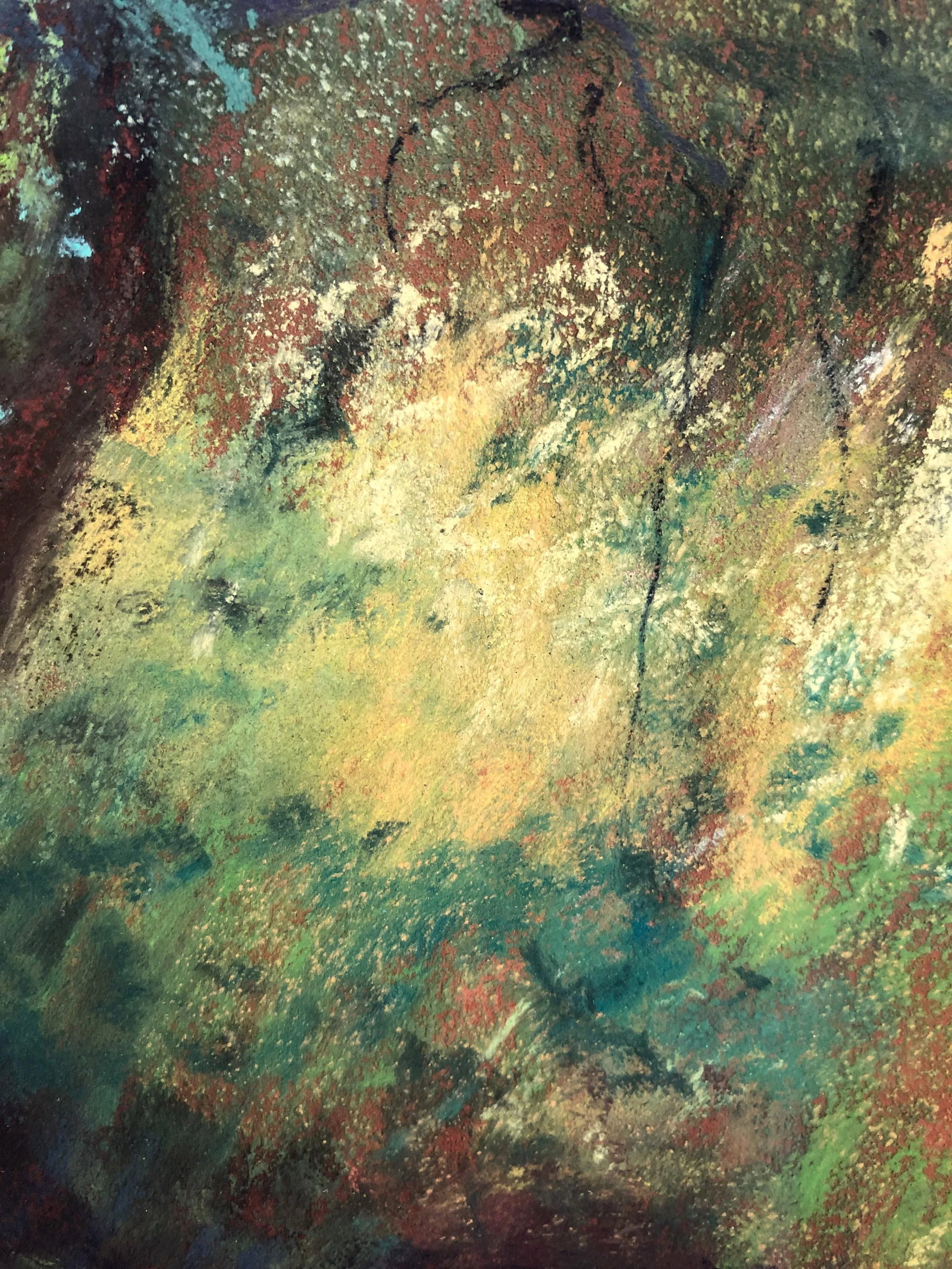 Contemporary Landscape Pastel Drawing - Enid Wood - 6