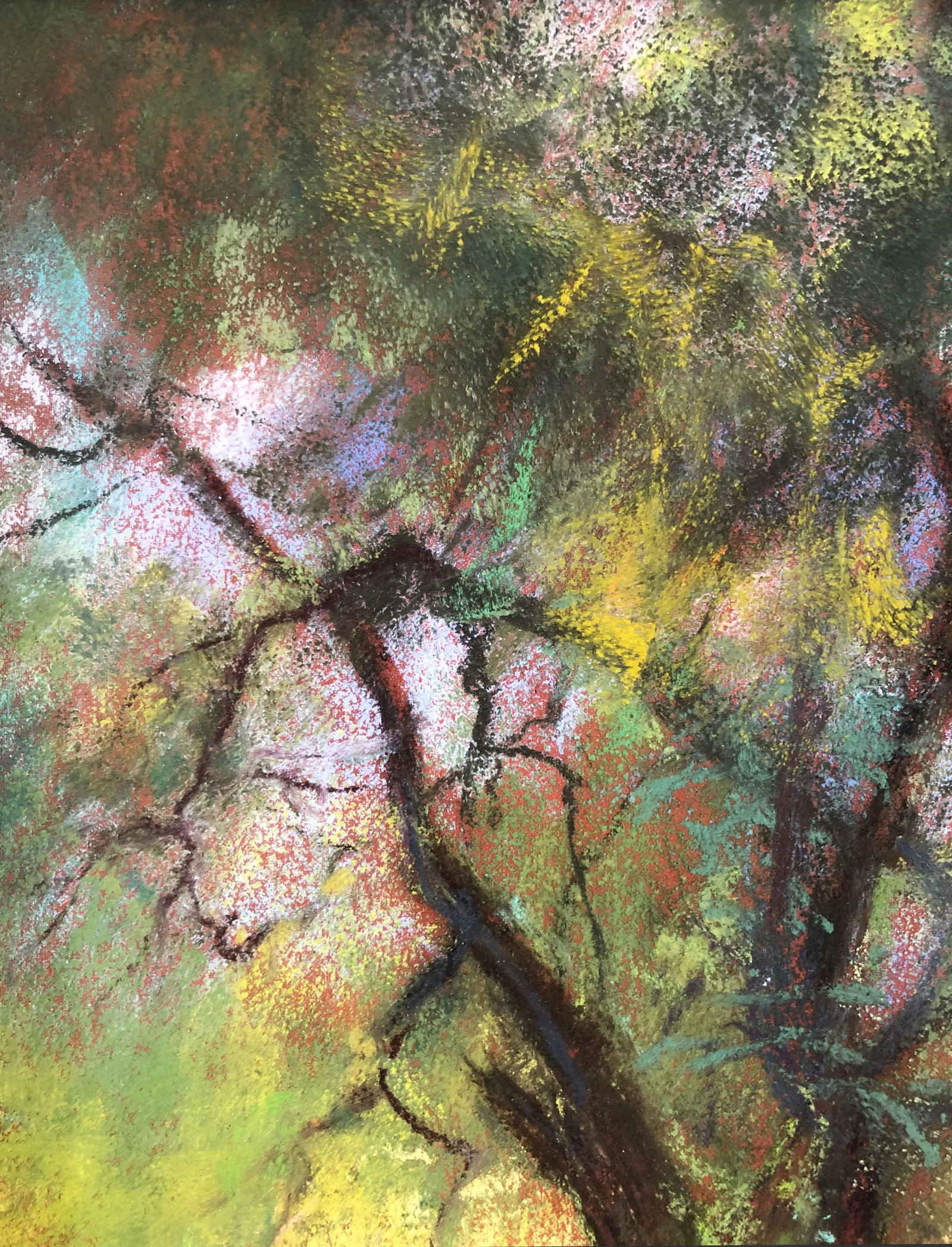 Contemporary Landscape Pastel Drawing - Enid Wood - 8