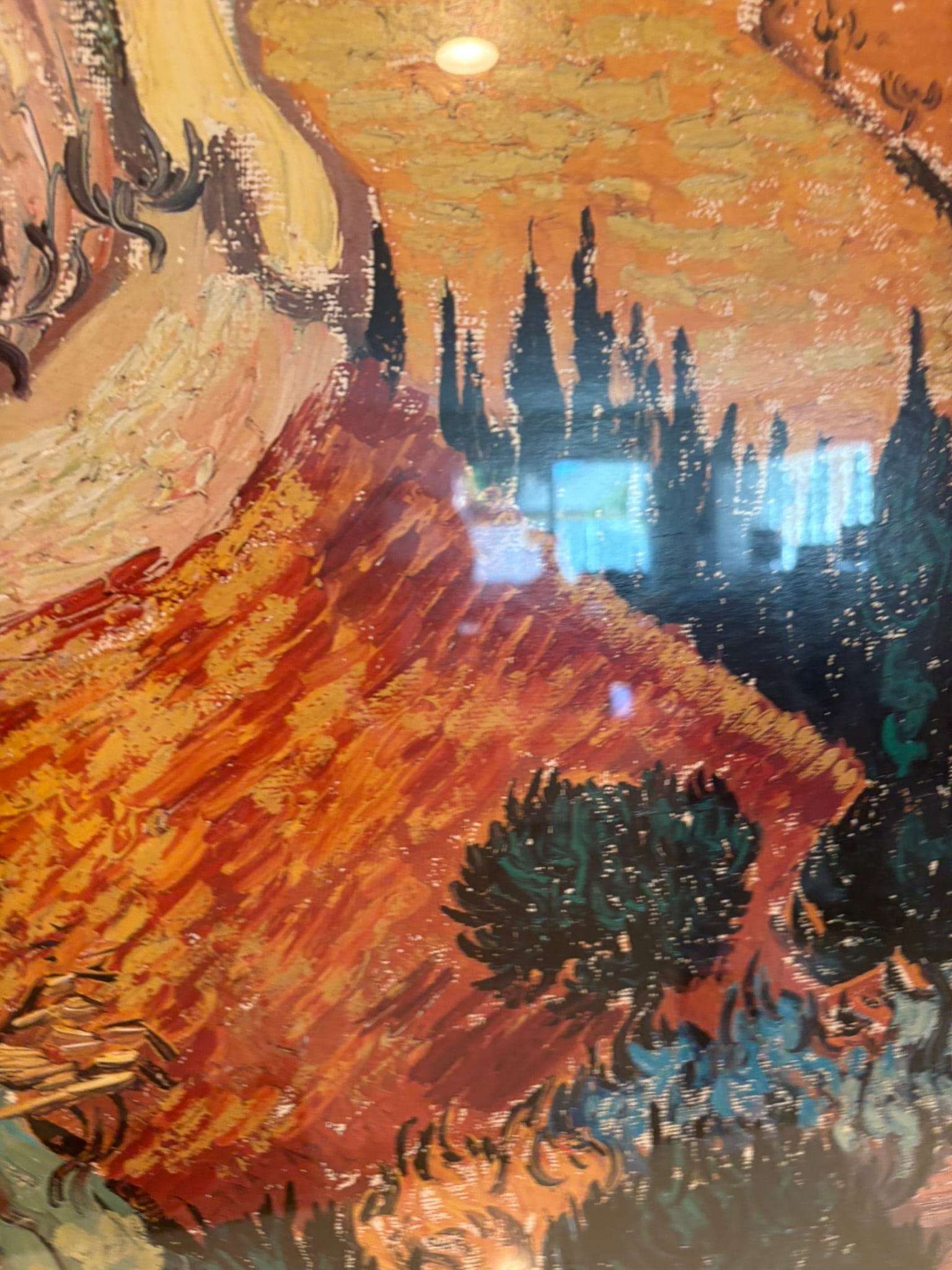 Vintage State Hermitage Museum Van Gogh Hidden Treasures Revealed Framed Exhibition Poster - 10