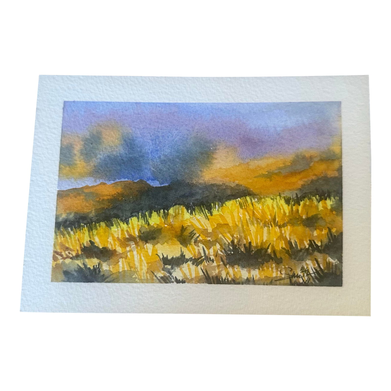 "After the Storm" Signed Original Watercolor by Nancy Smith: Original artwork, one of a kind. Signed by the artist. A vibrant landscape painted with expressive brushwork and bold color contrasts. Golden grasses shimmer beneath a dramatic, shifting sky,