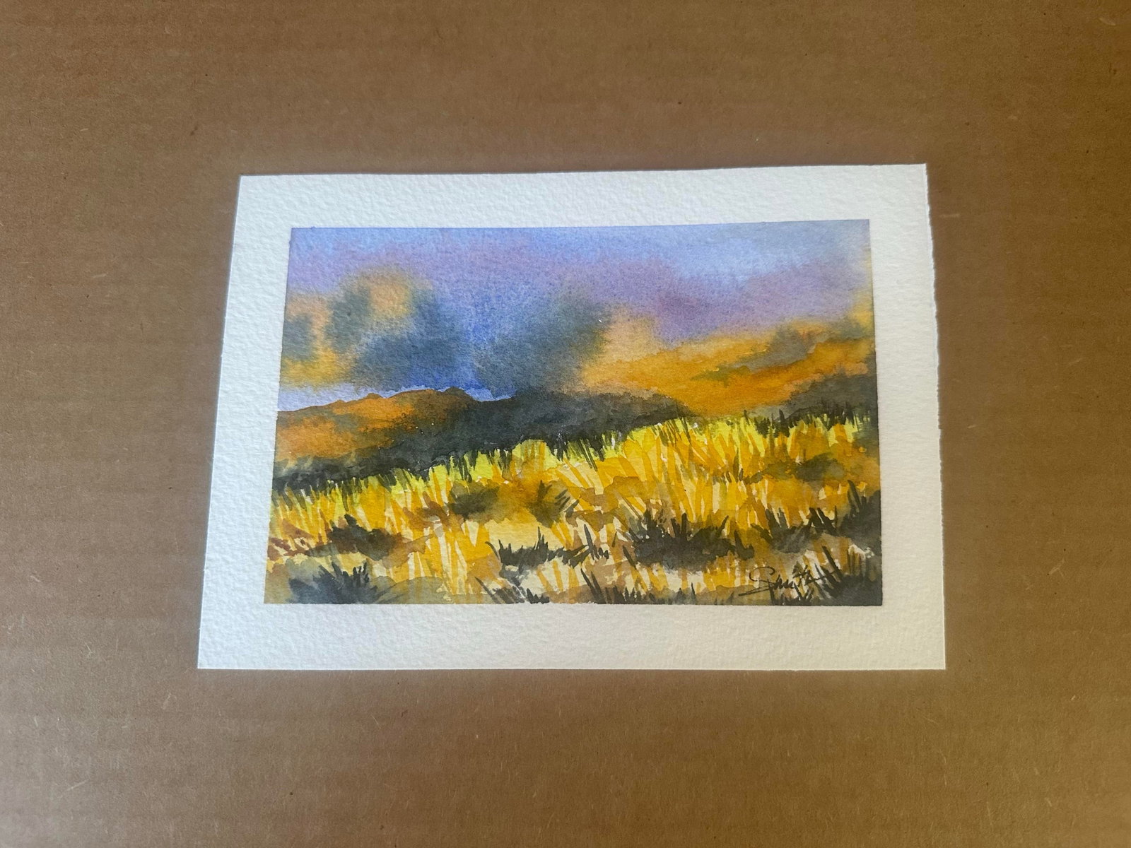 "After the Storm" Signed Original Watercolor by Nancy Smith - 2