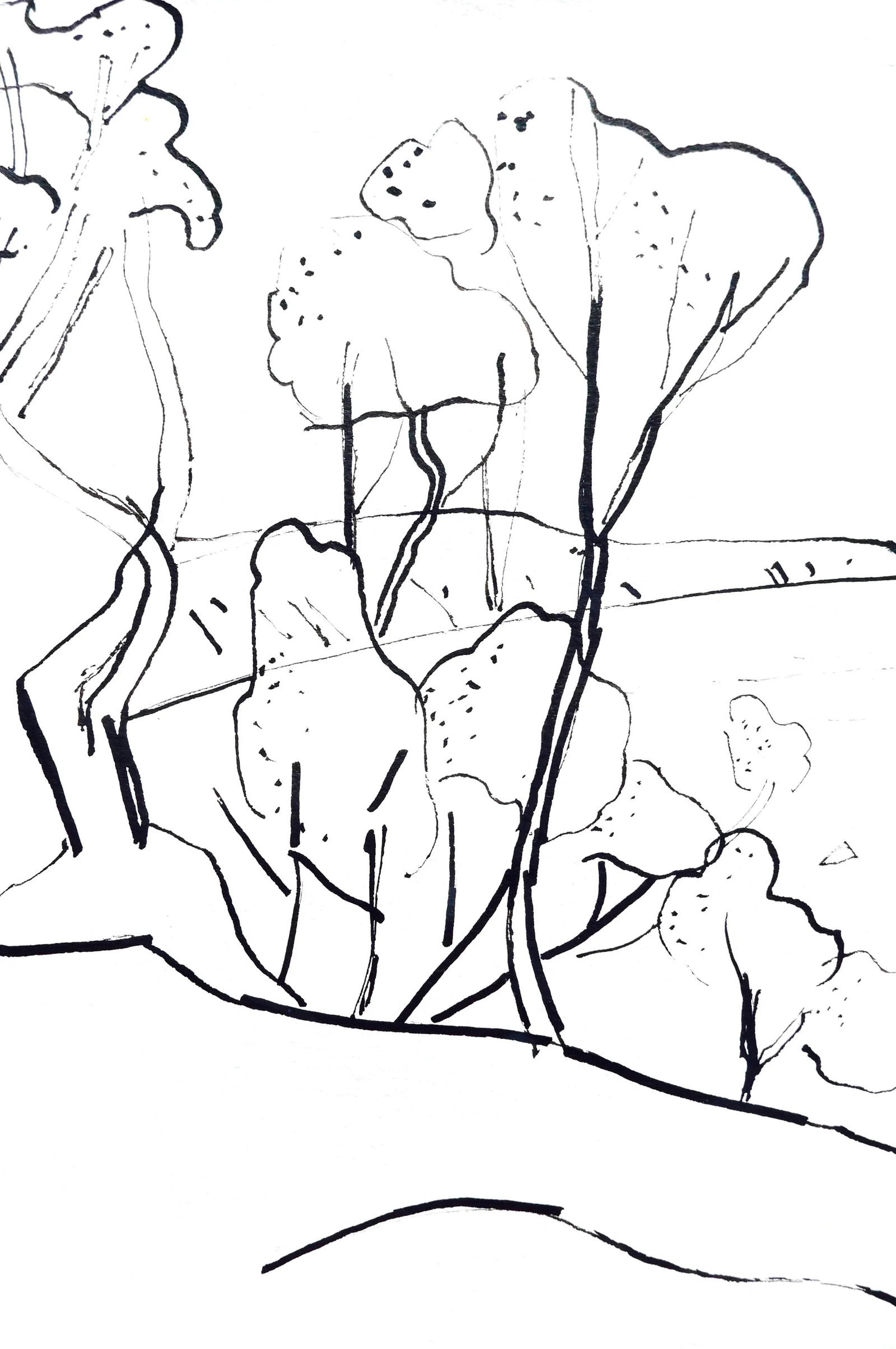 "California Landscape" Contemporary Abstract Landscape Ink Drawing by Martha Holden (1 of 4)