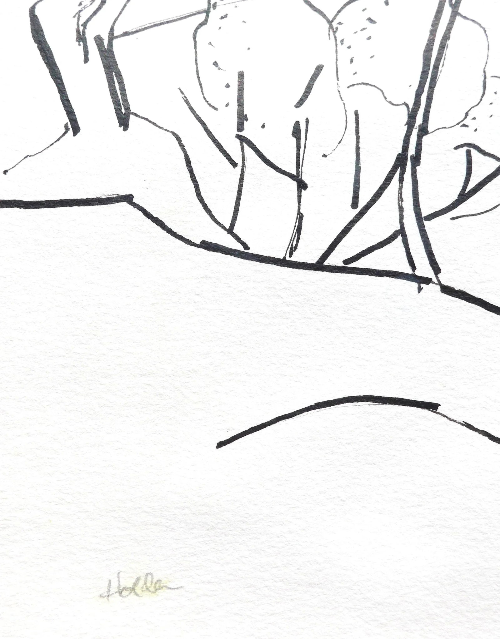 "California Landscape" Contemporary Abstract Landscape Ink Drawing by Martha Holden - 3