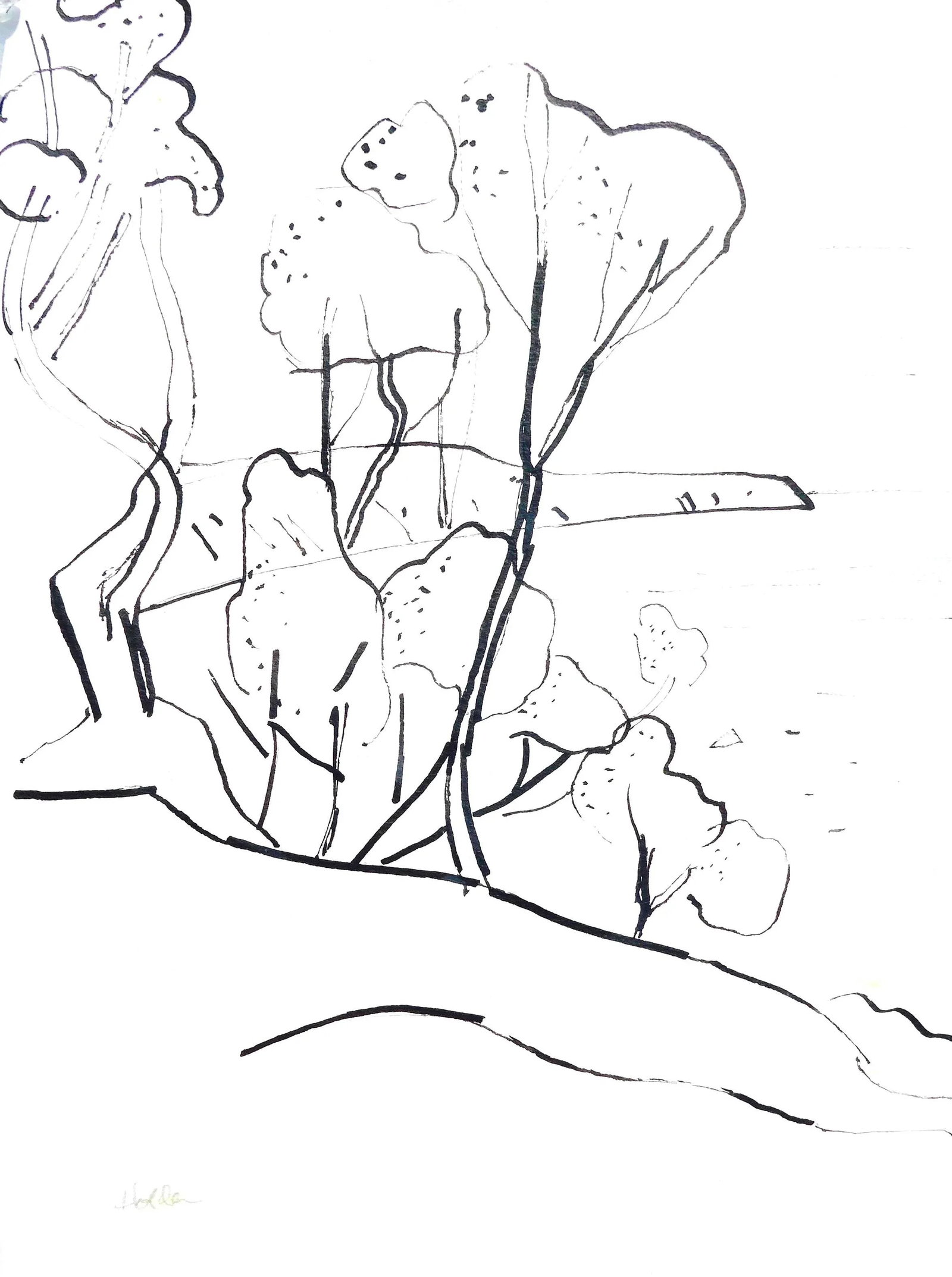 "California Landscape" Contemporary Abstract Landscape Ink Drawing by Martha Holden - 4