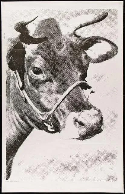 Andy Warhol, Venice Biennale 36x56 Italian 1976 Andy Warhol's Cow Wallpaper Poster, 1976 - 3