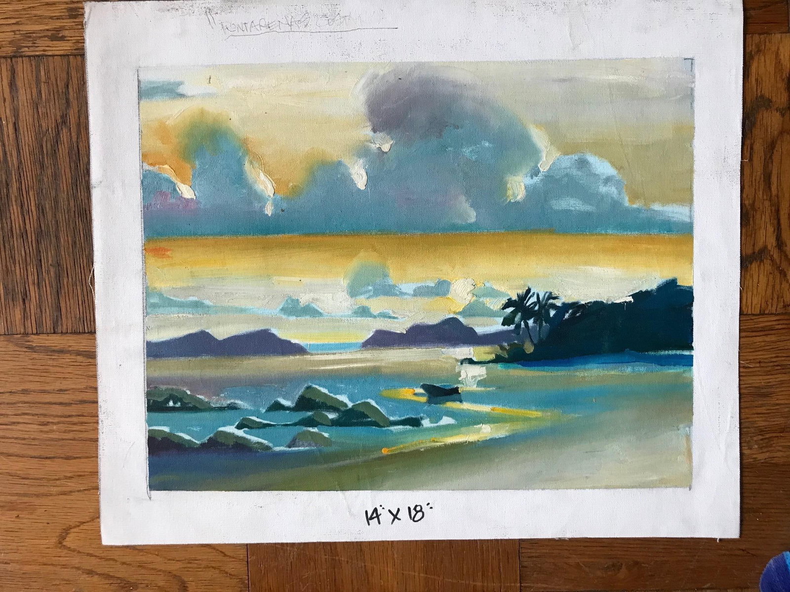 Costa Rican Sunset: Original Oil Painting by David Beynon Pena - 2