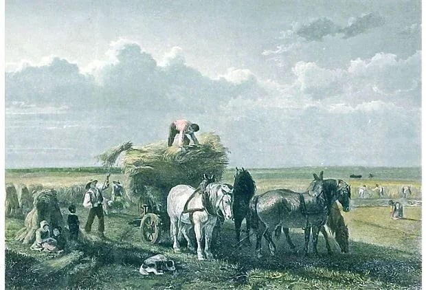 Antique 1860 Harvesting Engraving - 2