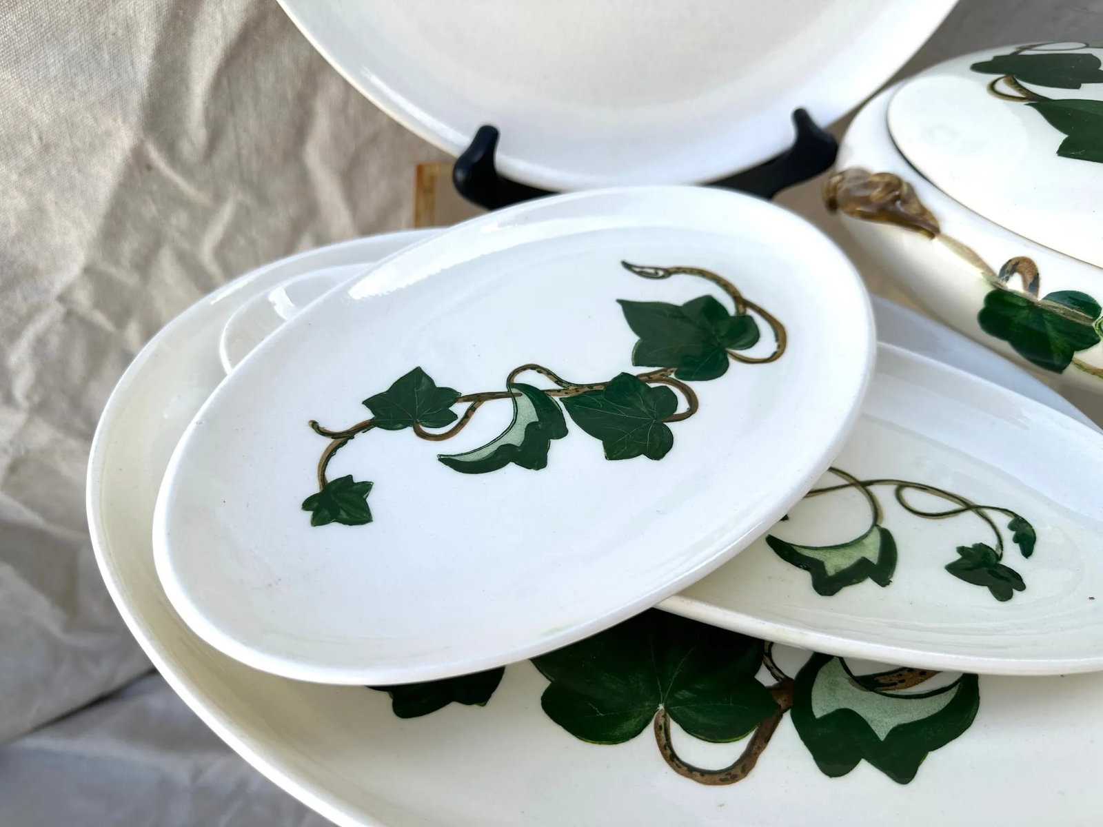 Vintage "Ivy" Print Serving Set of 12 - 3