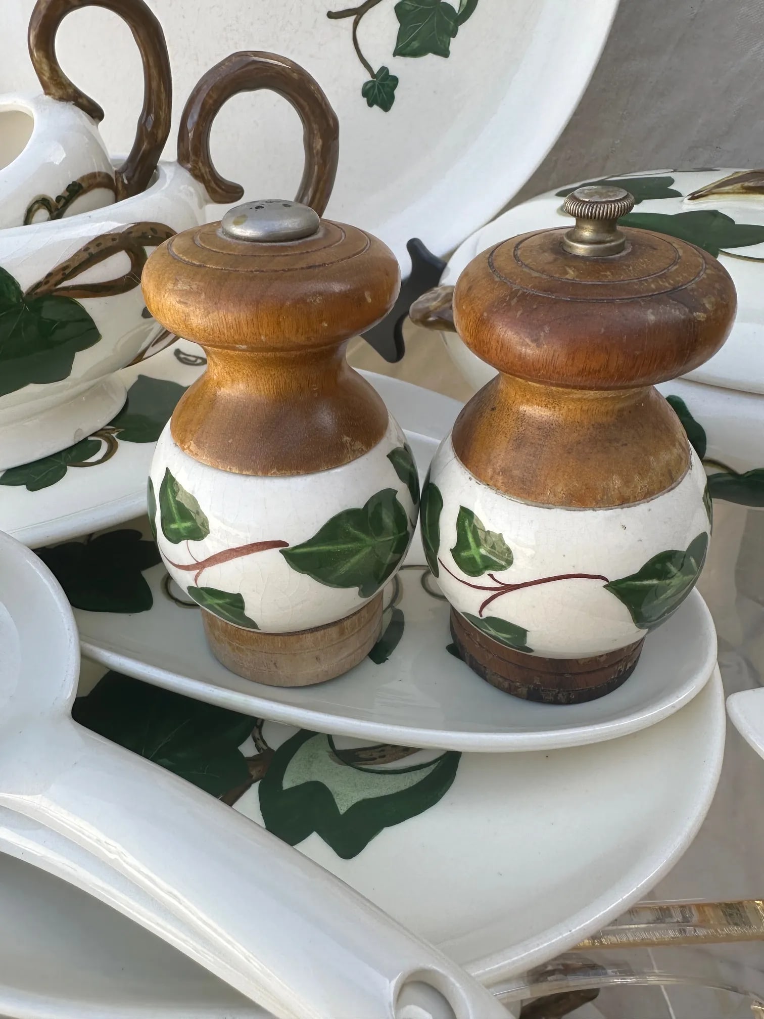 Vintage "Ivy" Print Serving Set of 12 - 8