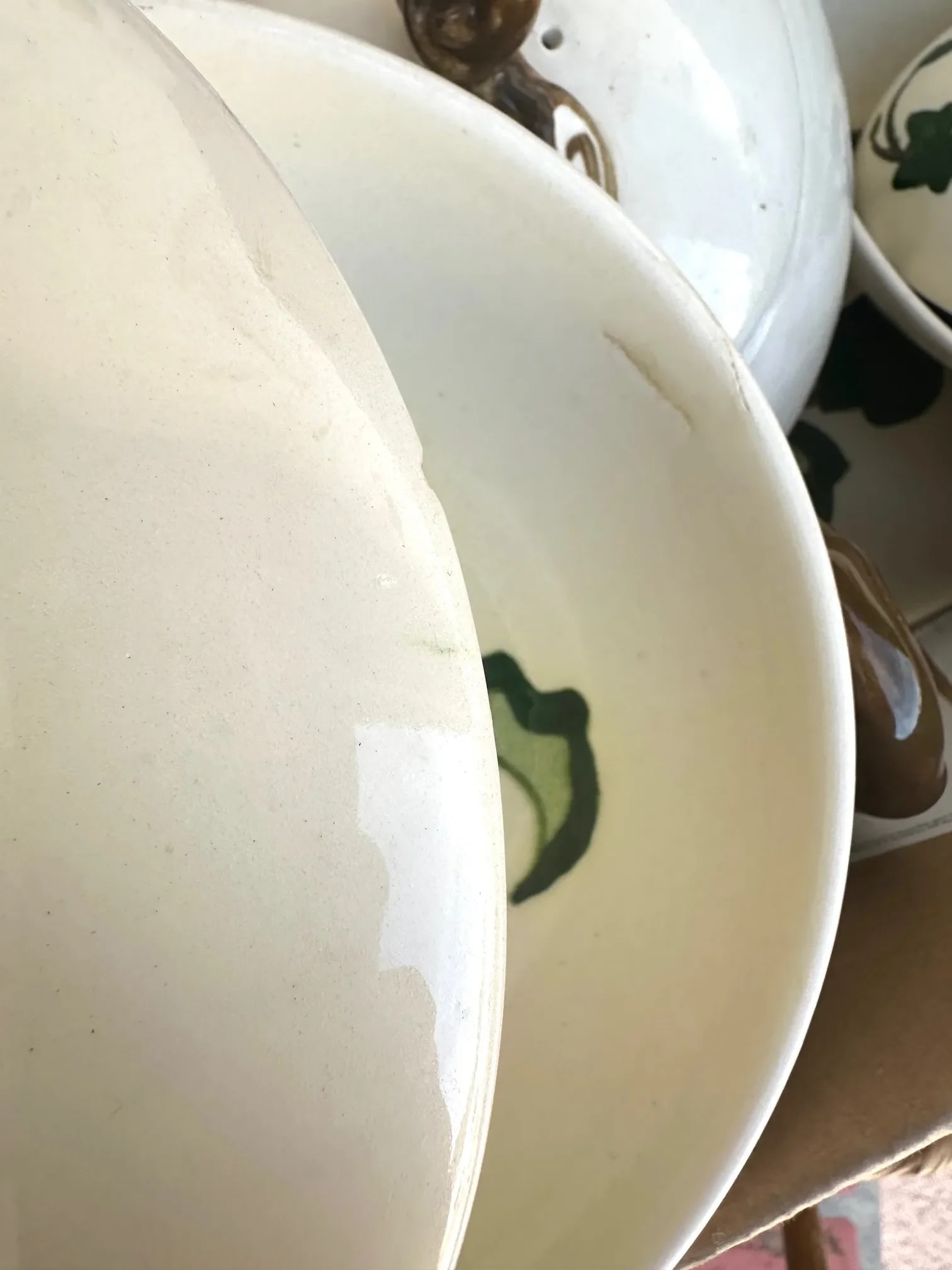 Vintage "Ivy" Print Serving Set of 12 - 9