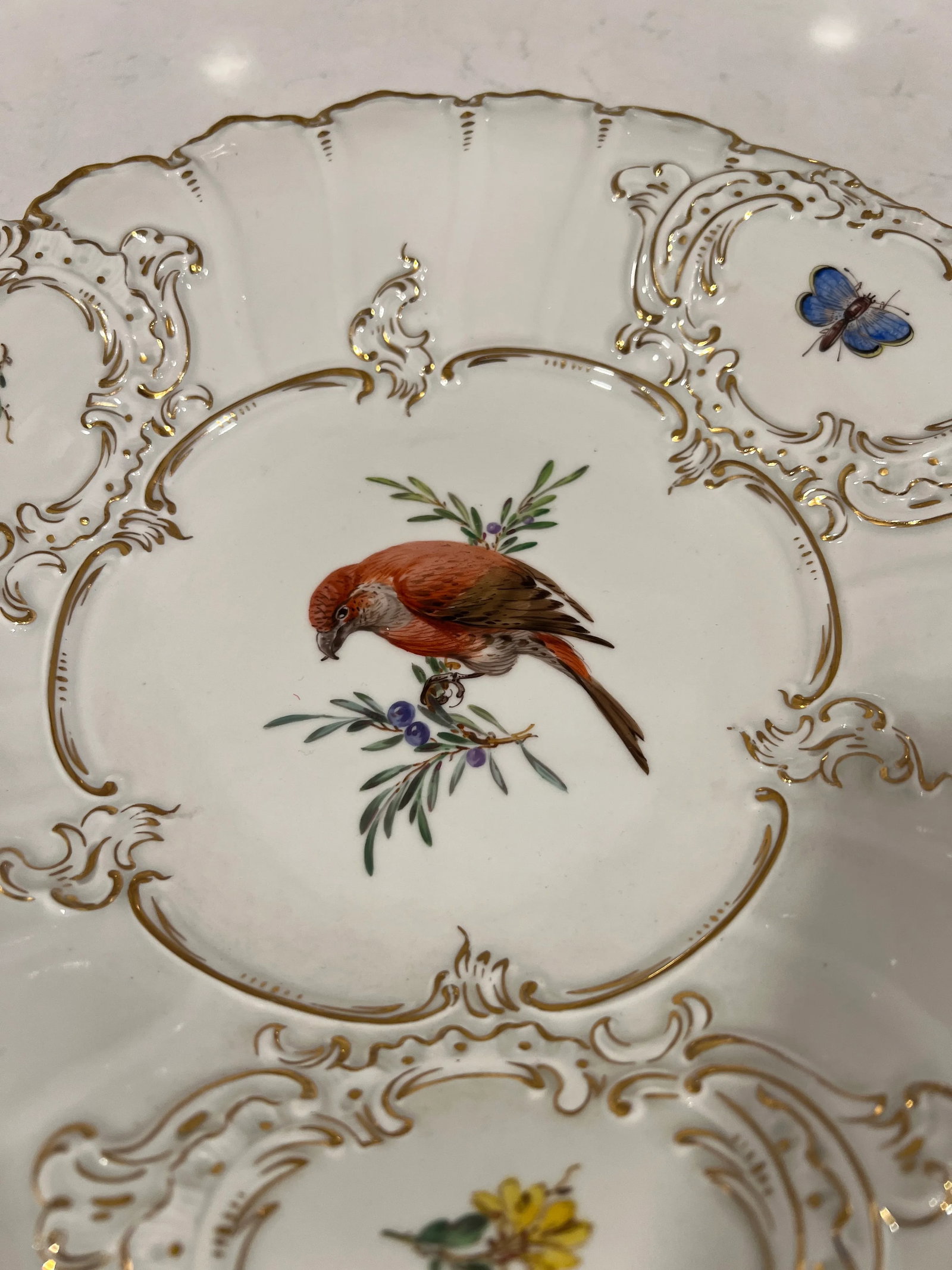 Pair, Antique Meissen Porcelain Ornithological & Gold Encrusted Chargers - 12