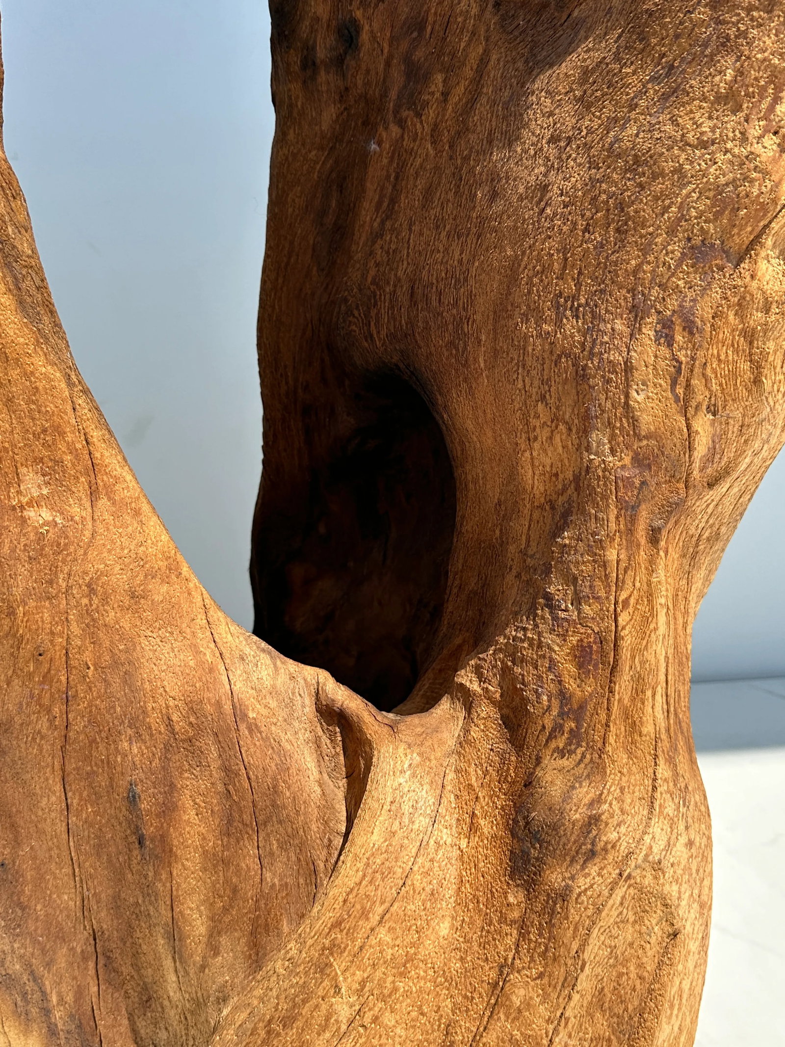 1980s Organic Tree Trunk Root Console Table - 12
