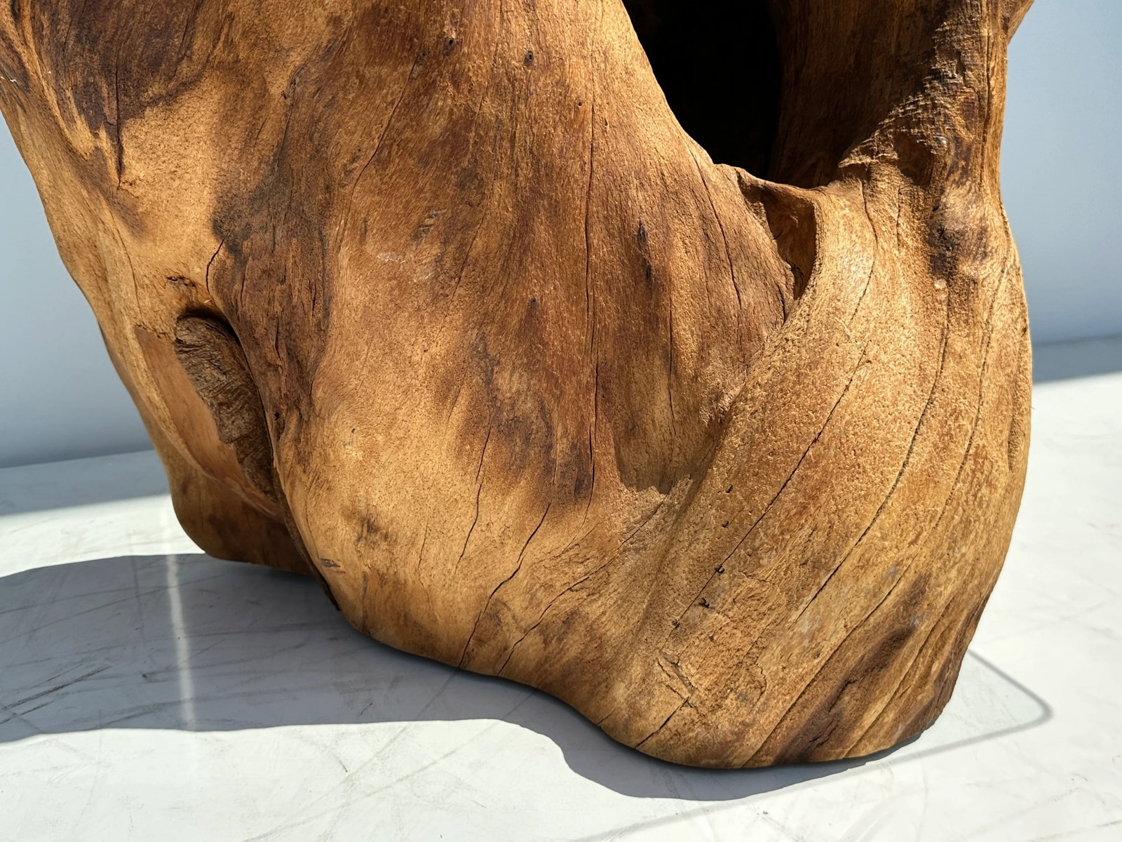 1980s Organic Tree Trunk Root Console Table - 9