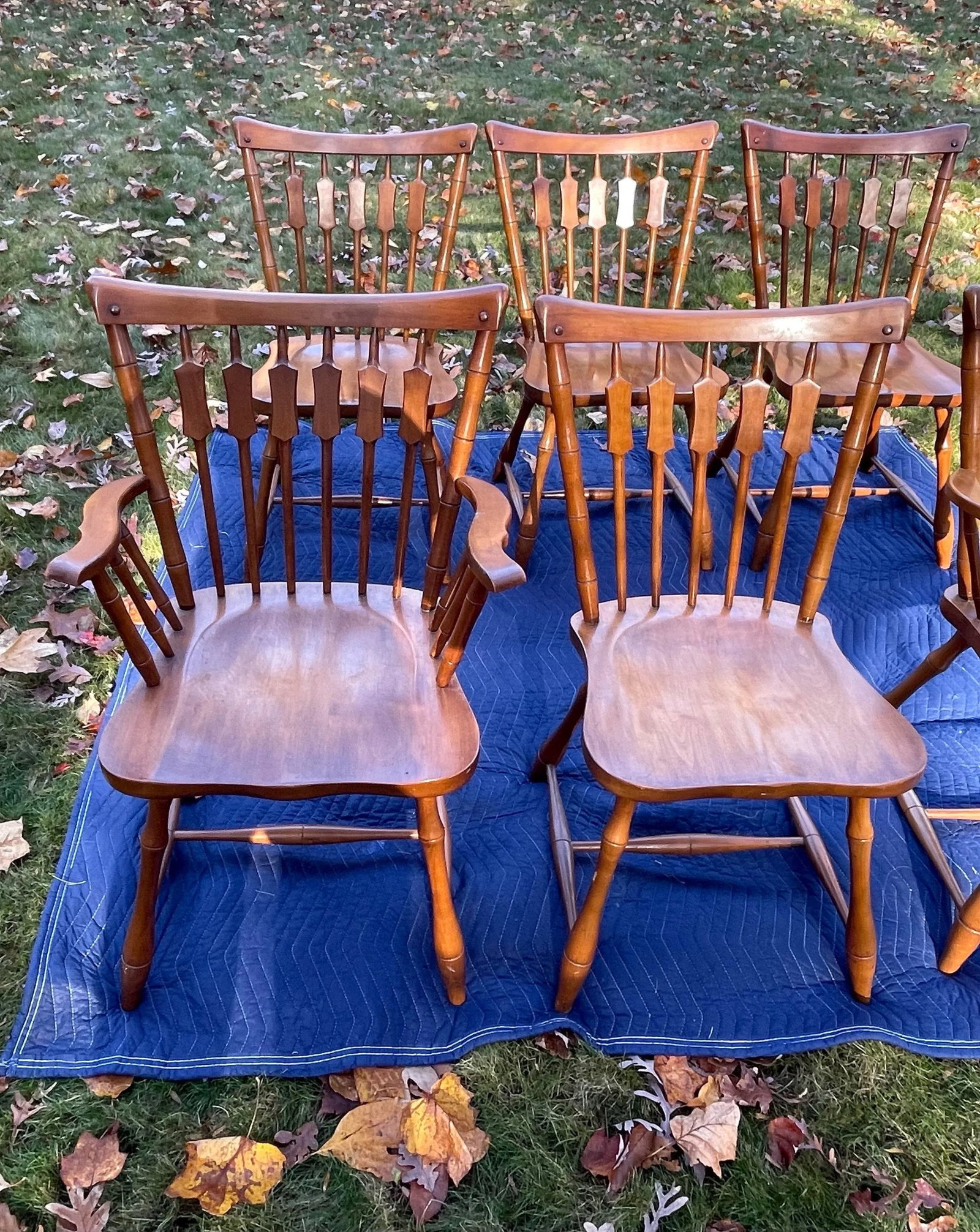 Pennsylvania House Colonial Cattail Back Maple Dining Chairs- Set of 6 - 6