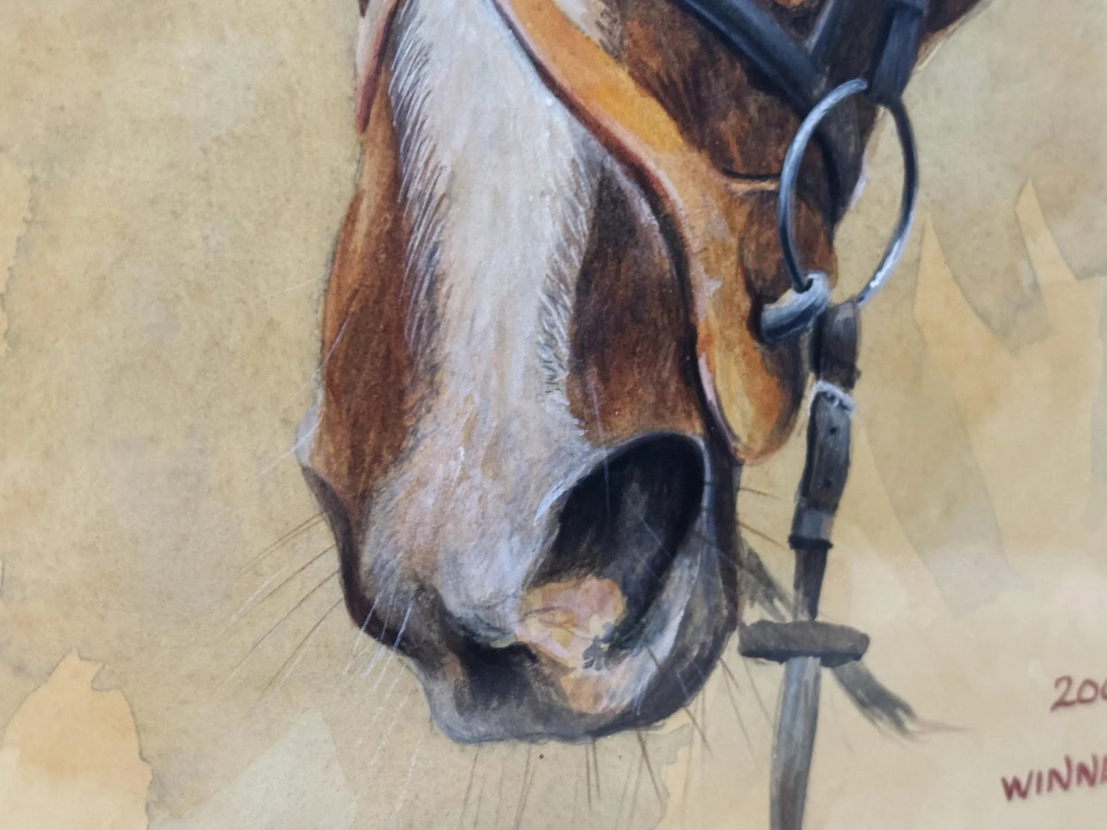 2000s "Napolitain" Vintage French Equestrian Watercolor Horse Painting by Martin Alford - 3