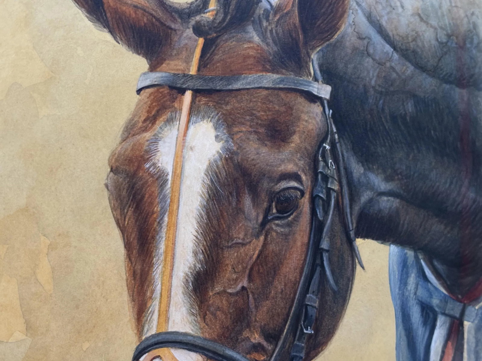 2000s "Napolitain" Vintage French Equestrian Watercolor Horse Painting by Martin Alford - 6