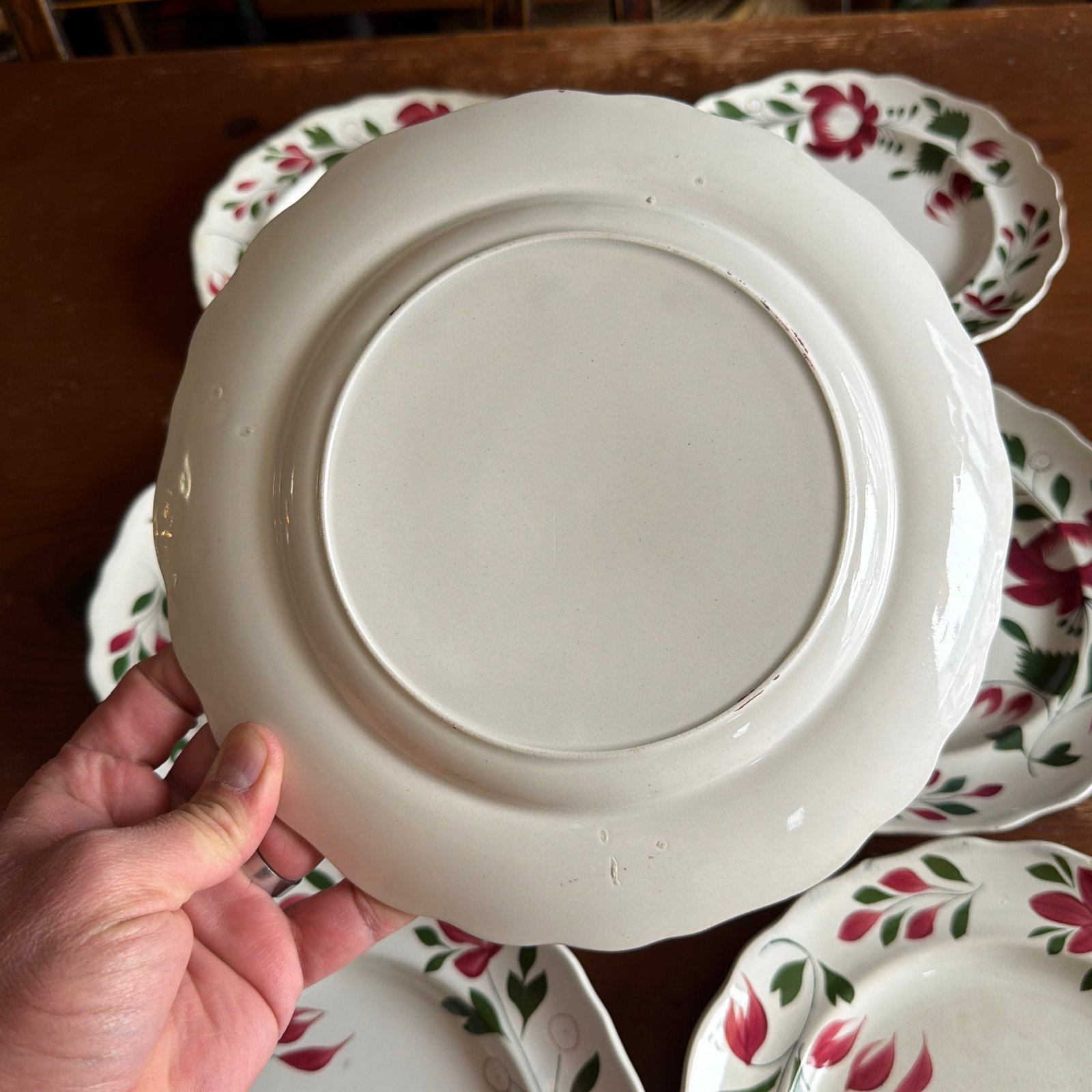 A Very Nice Set of 7 of Antique Staffordshire Early Adam's Rose Plates, Circa 1830 - 11