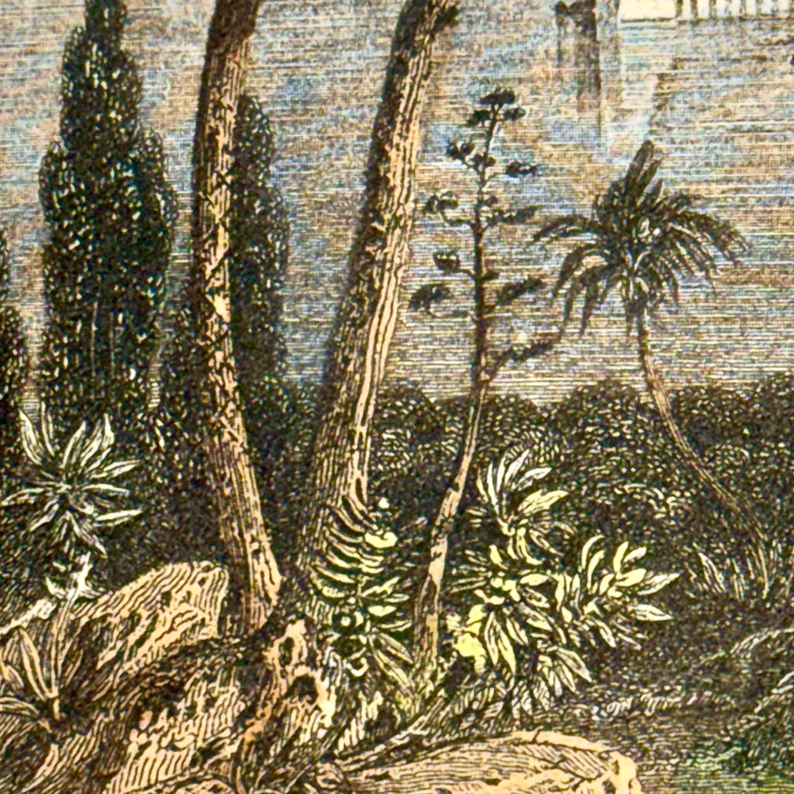Mid-19th Century Rouargue Frères French Riviera Steel Engravings - A Pair - 6